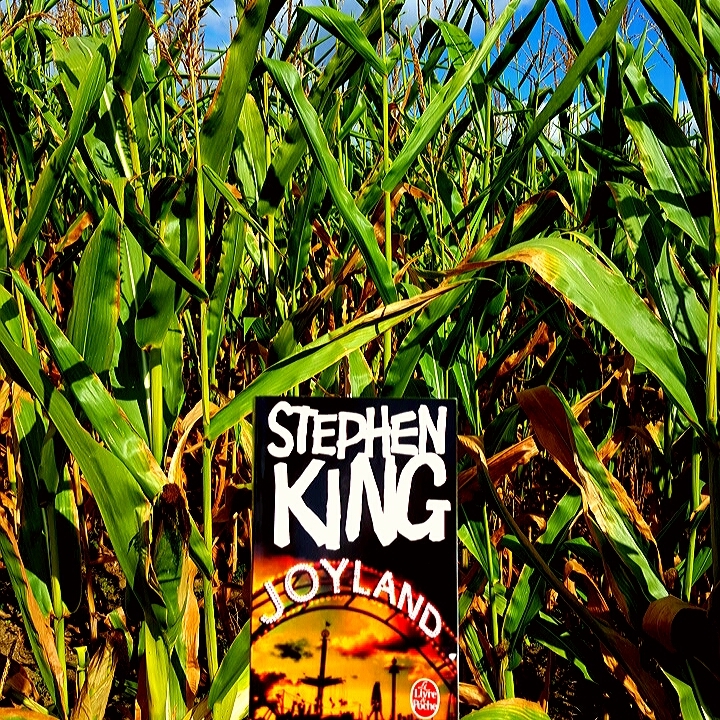 Joyland de Stephen King