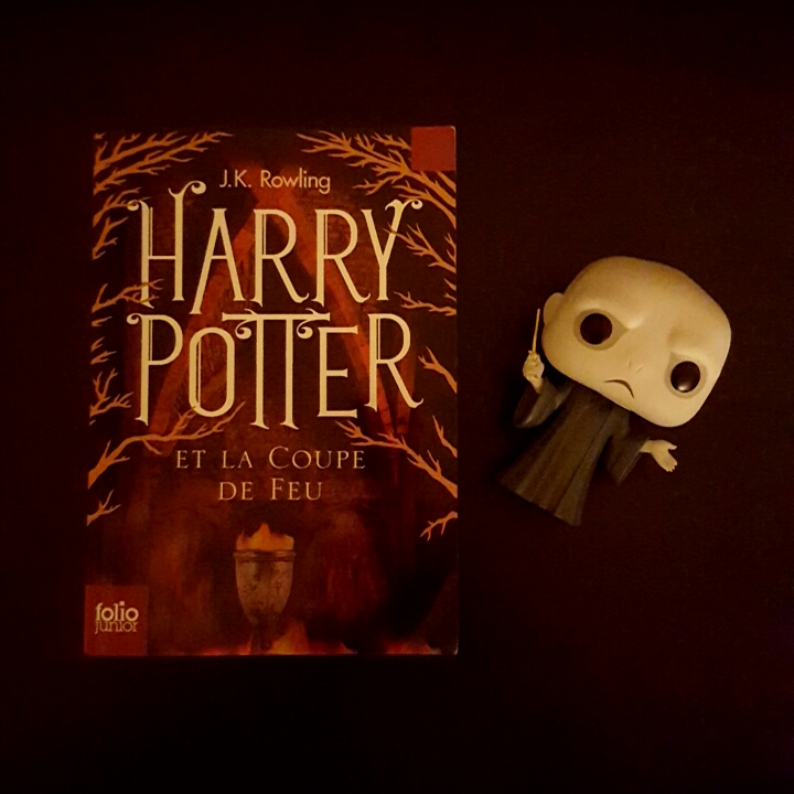 Harry Potter et la Coupe de Feu de J.K. Rowling