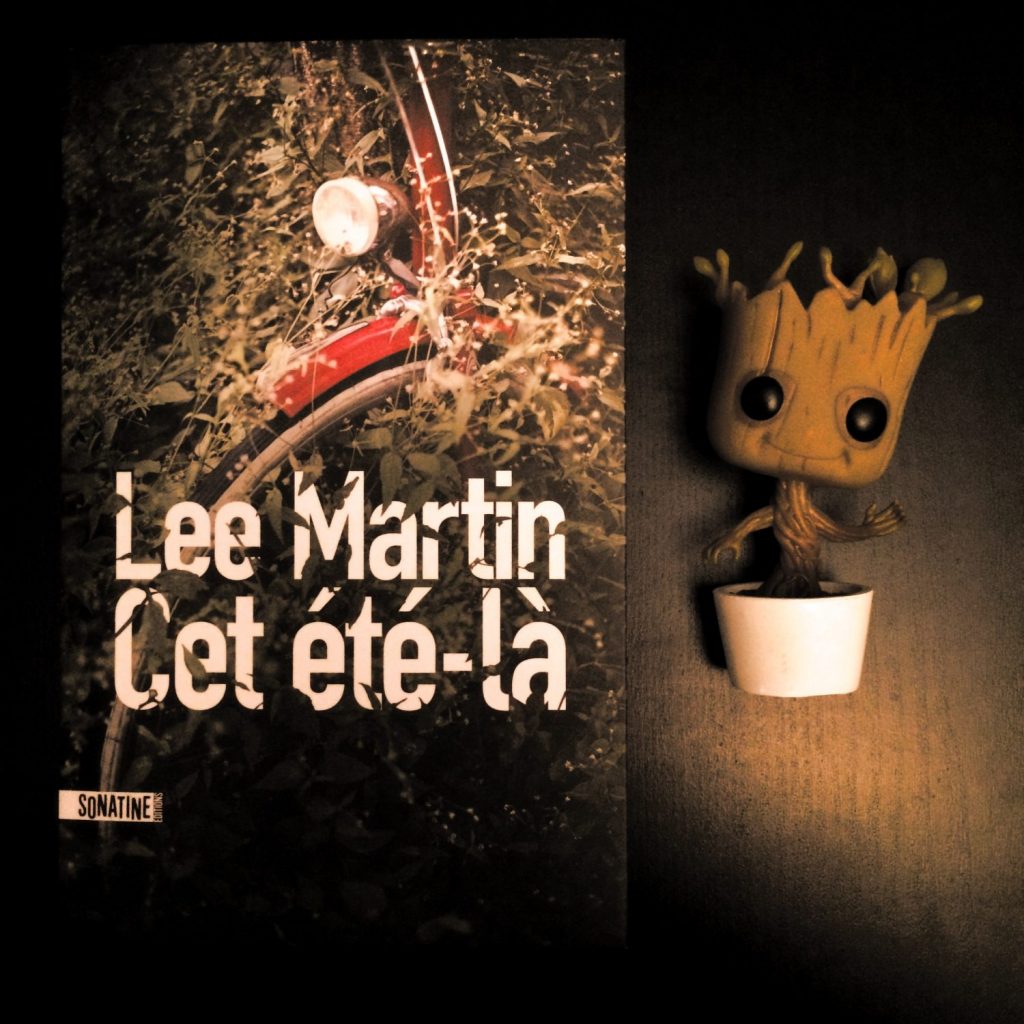 Cet été-là de Lee Martin