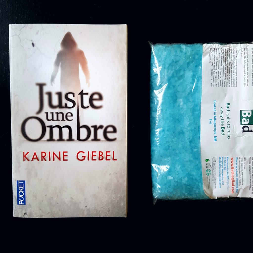 Juste une ombre de Karine Giebel