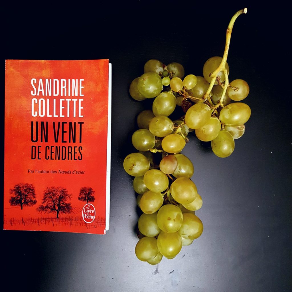 Un vent de cendres de Sandrine Collette