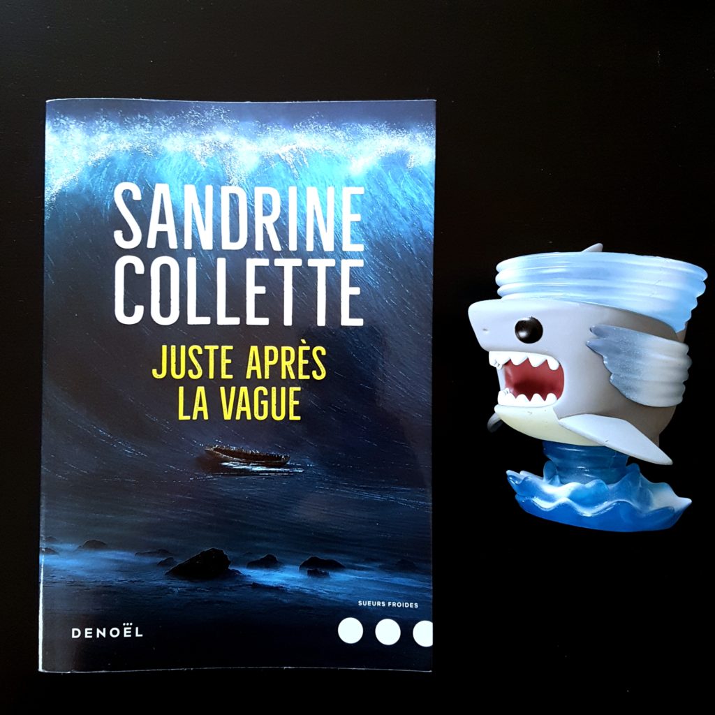 Juste après la vague de Sandrine Collette