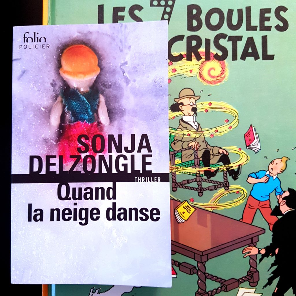 Quand la neige danse de Sonja Delzongle