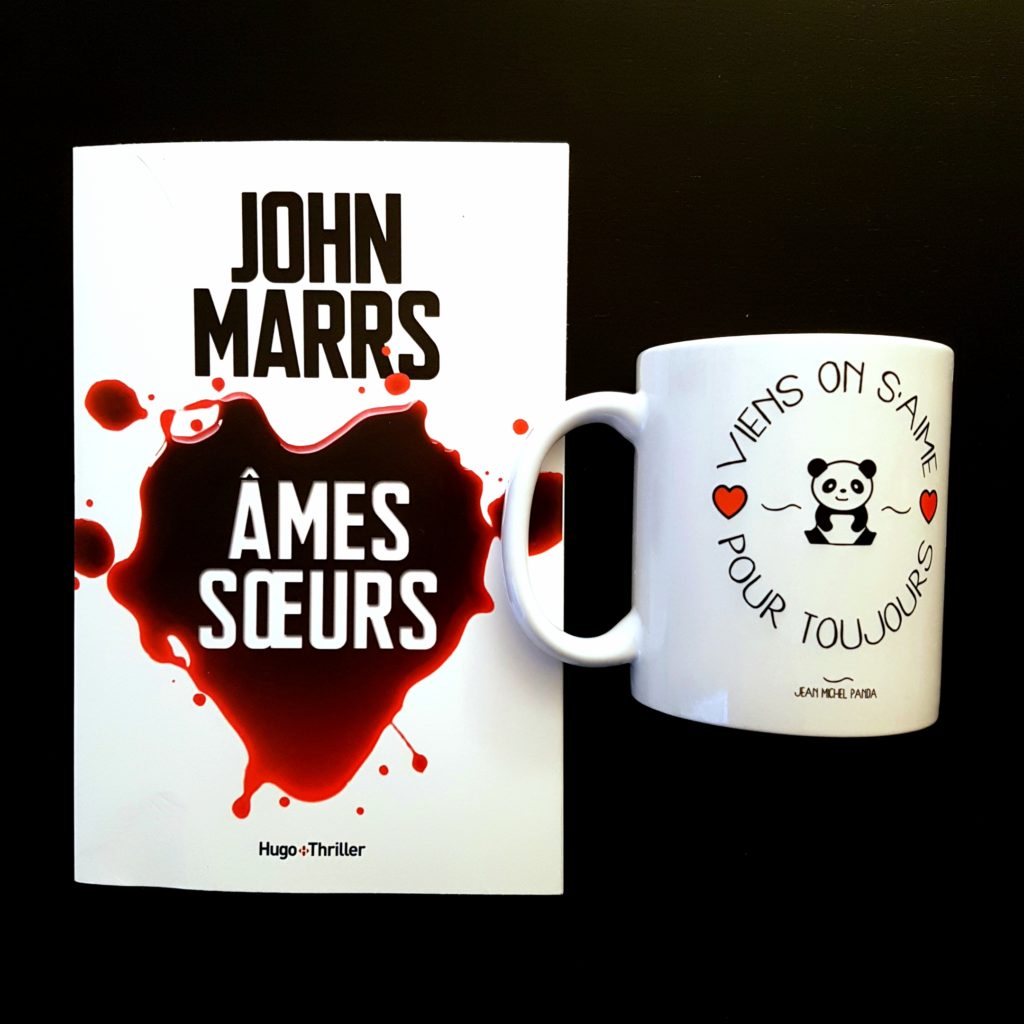 Âmes sœurs de John Marrs