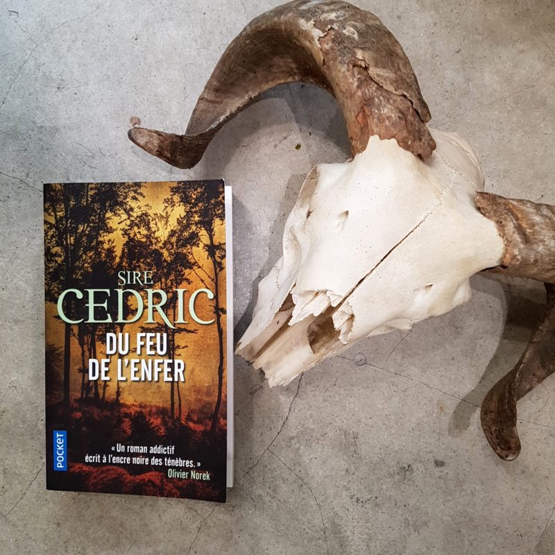 Du feu de l’enfer de Sire Cédric