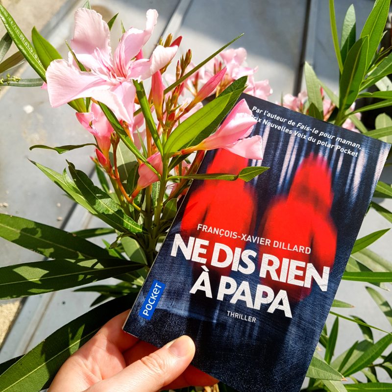 Ne dis rien à papa de François-Xavier Dillard