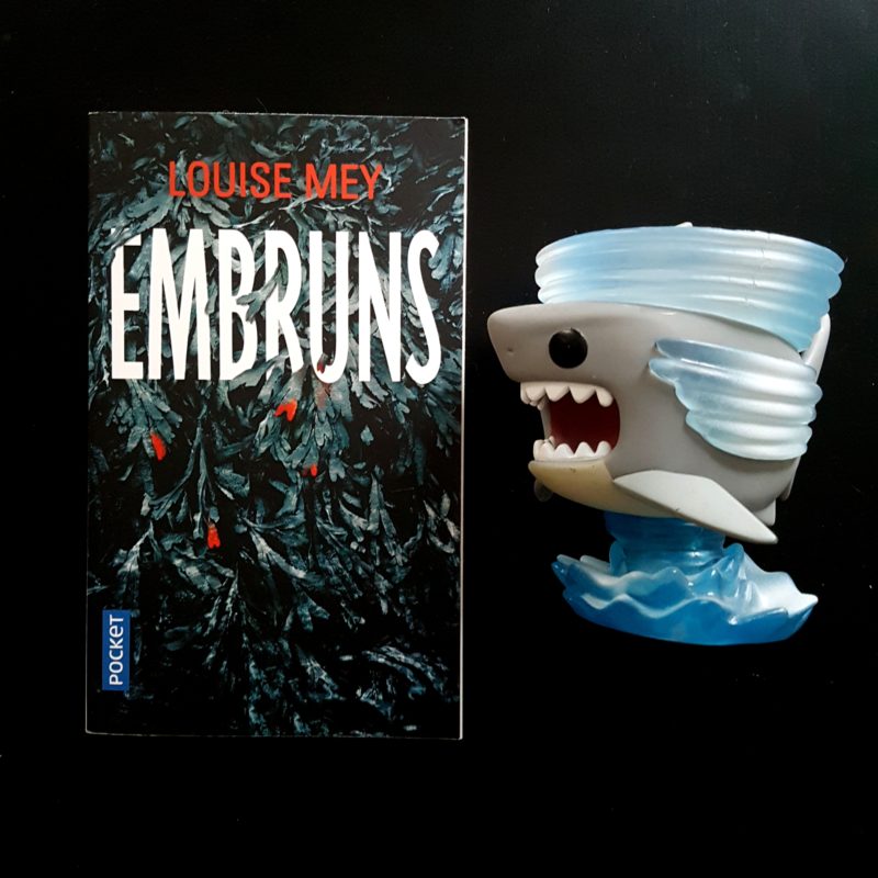 Embruns de Louise Mey