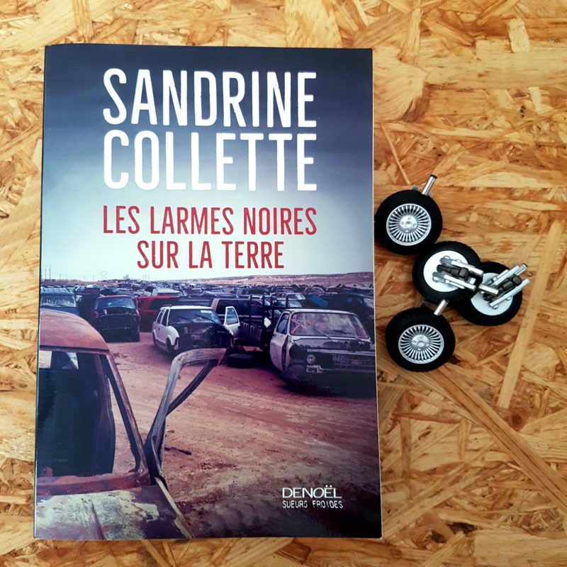 Les larmes noires sur la terre de Sandrine Collette
