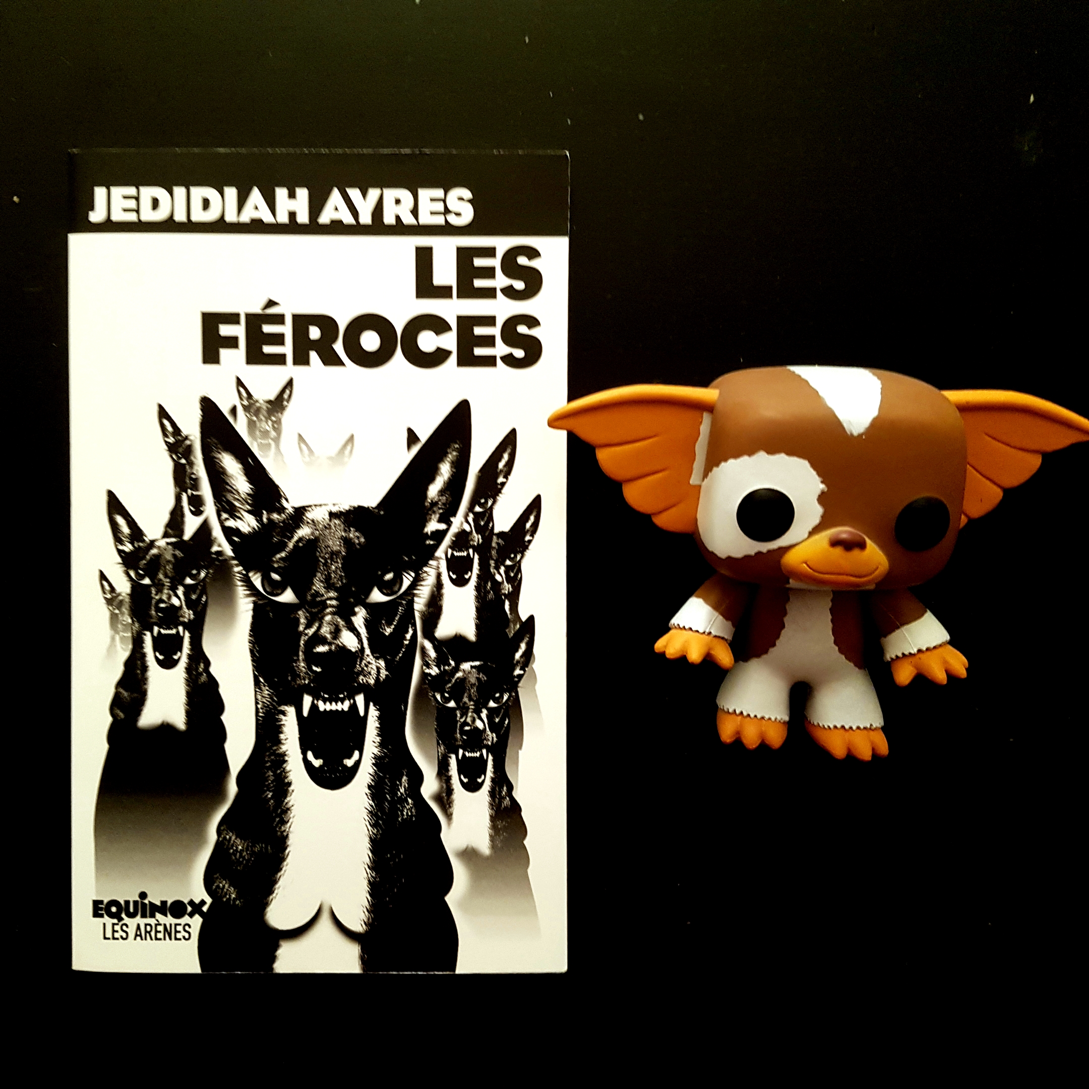 Les Féroces de Jedidiah Ayres