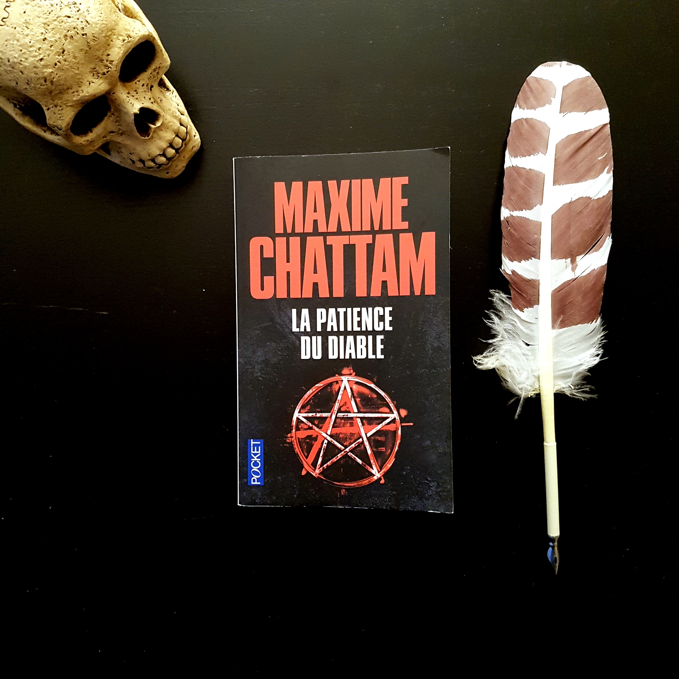 La patience du Diable de Maxime Chattam