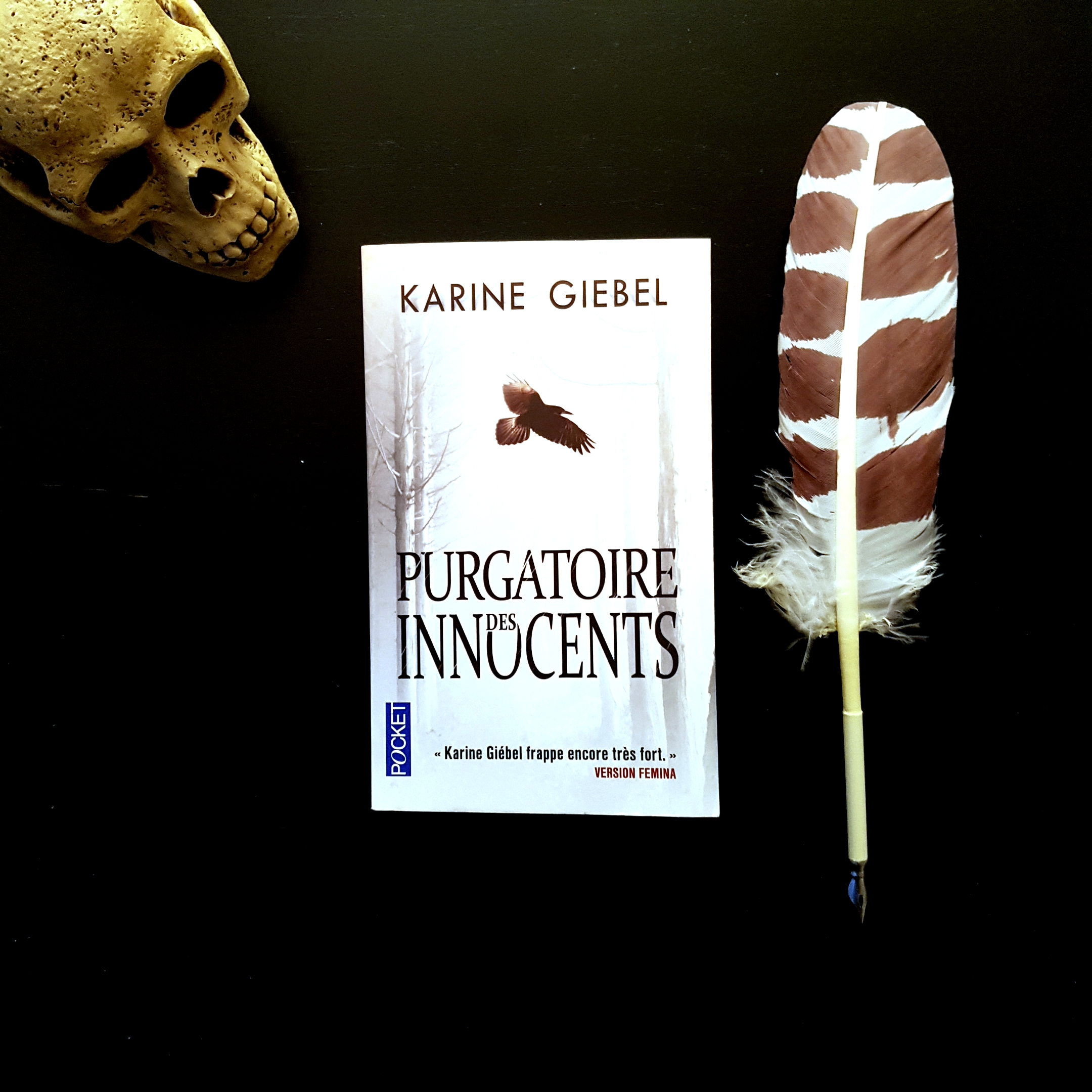 Le purgatoire des innocents de Karine Giebel