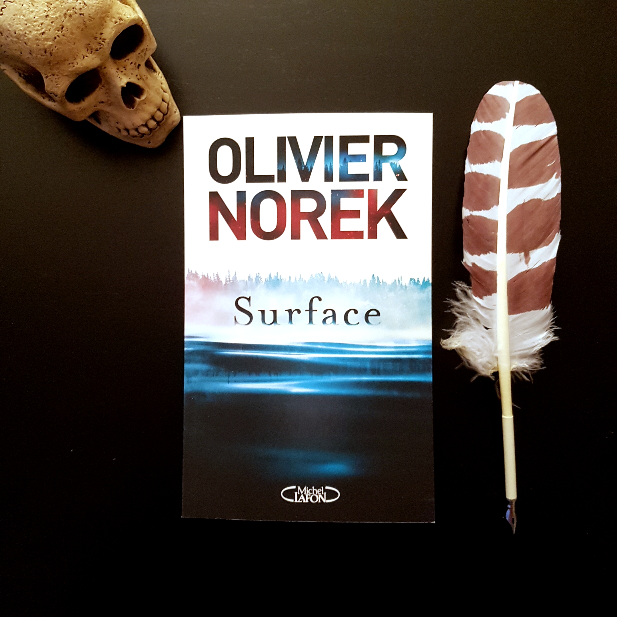 Surface d’Olivier Norek