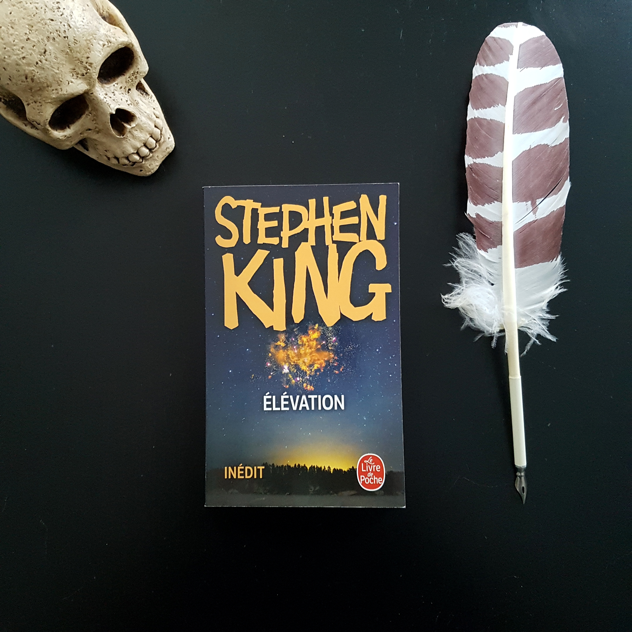 Élévation de Stephen King