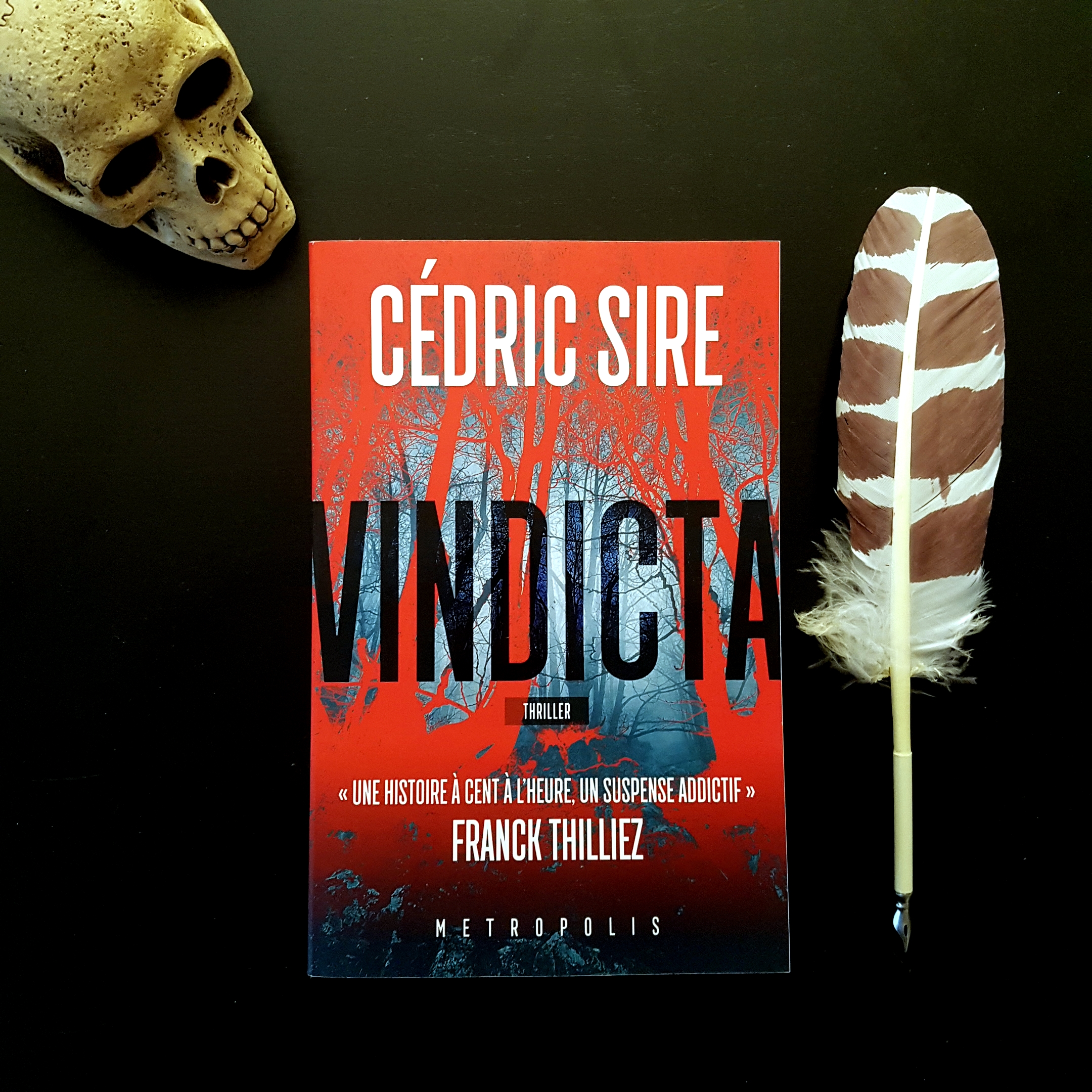 Vindicta de Cédric Sire