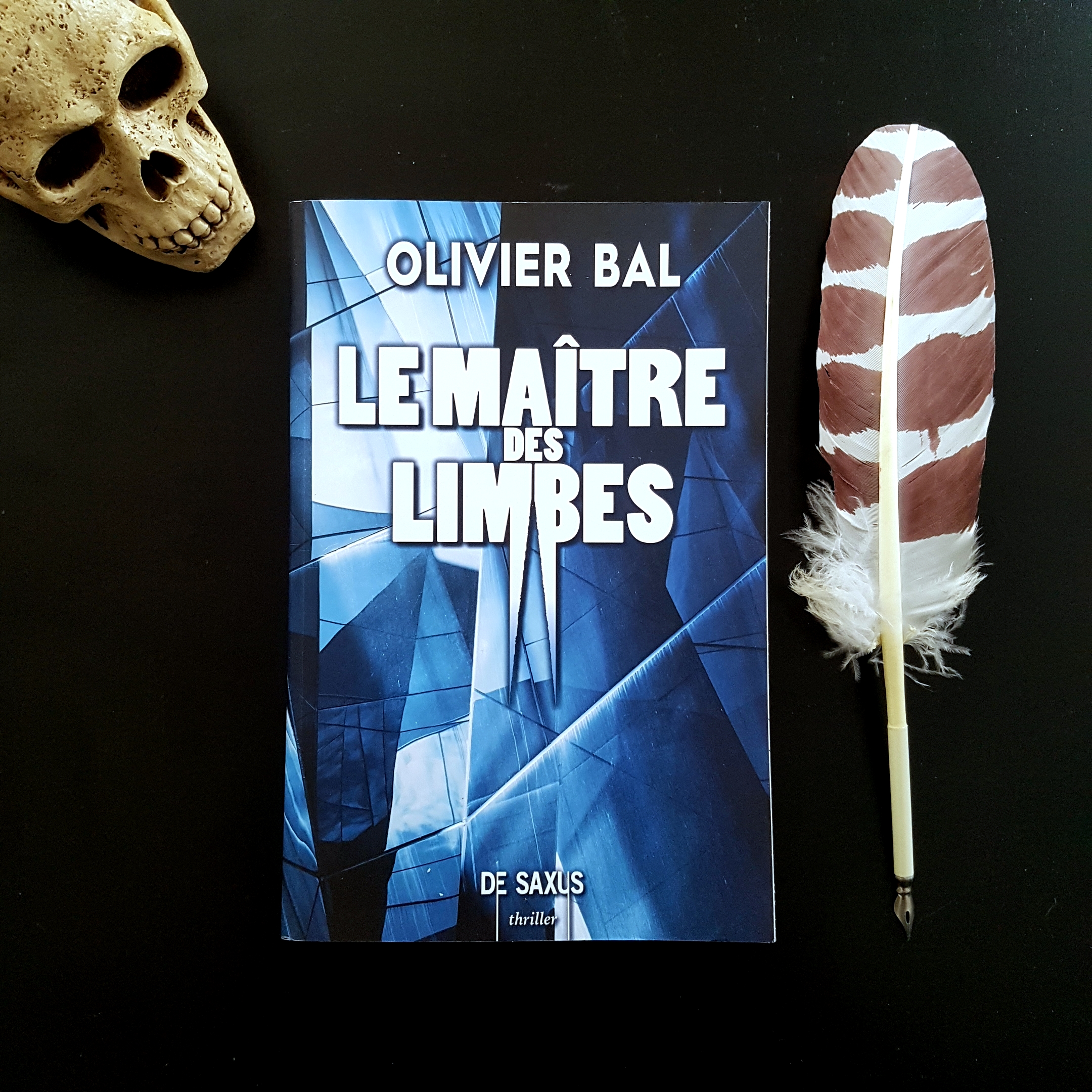 Le maître des Limbes d’Olivier Bal