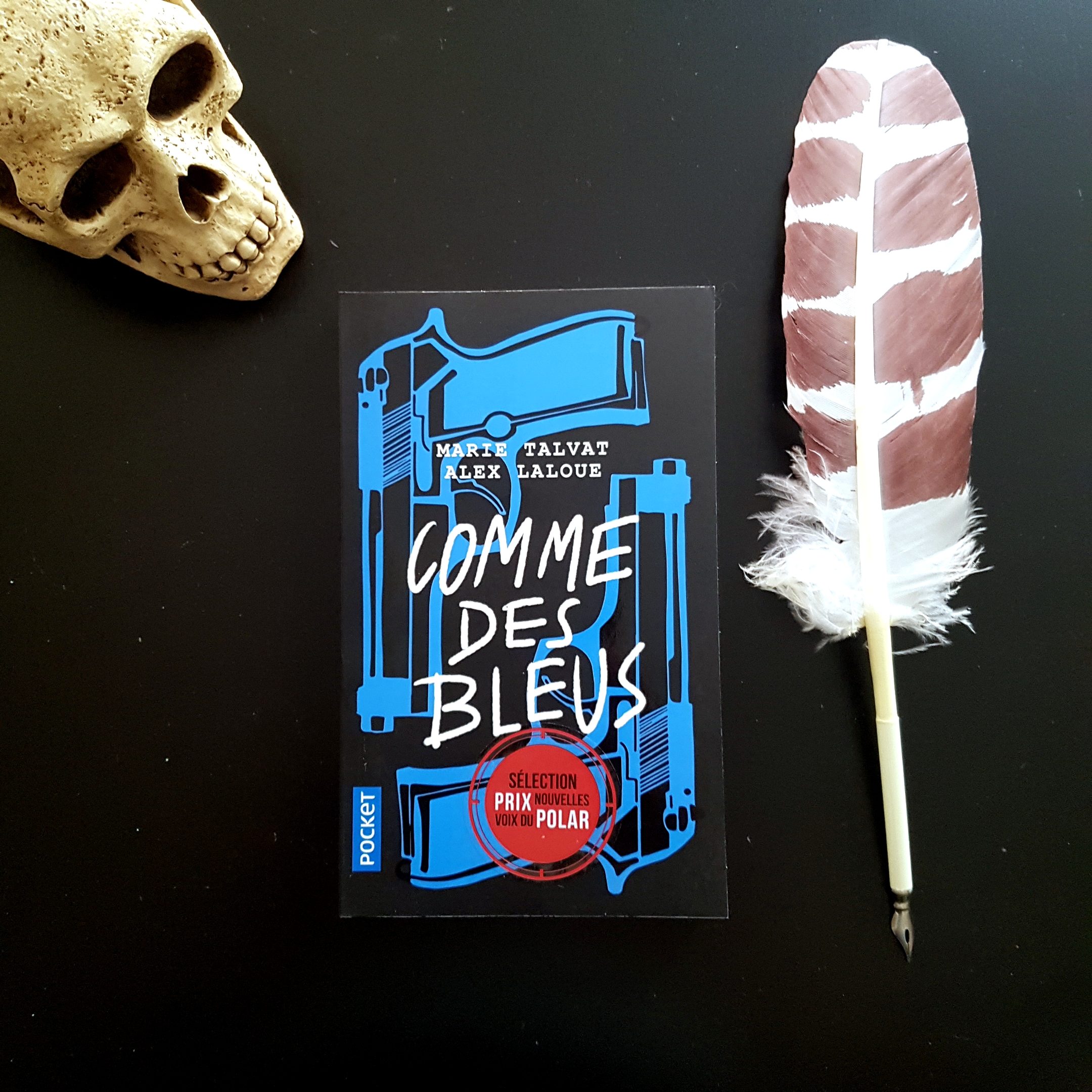 Comme des bleus de Marie Talvat et Alex Laloue