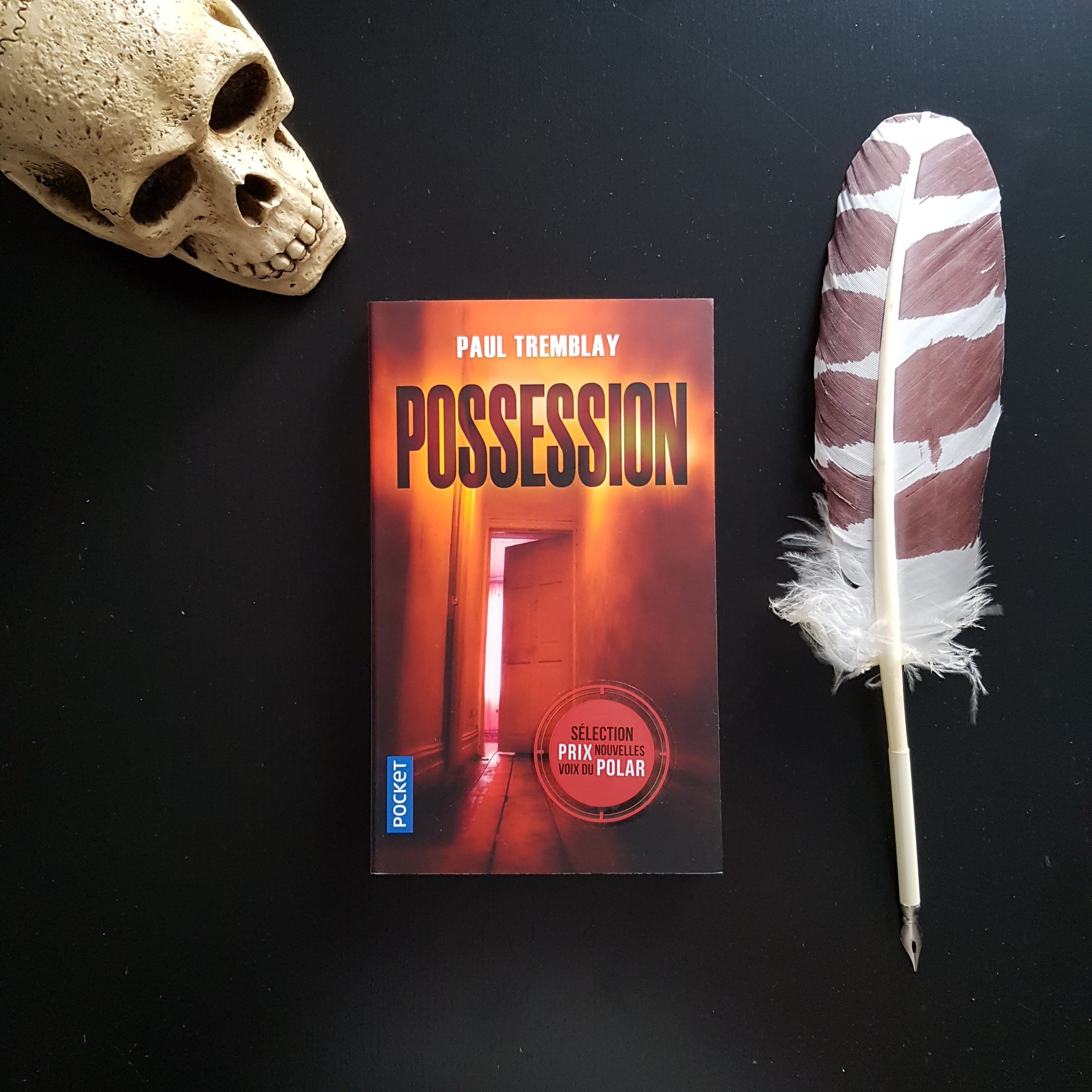 Possession de Paul Tremblay