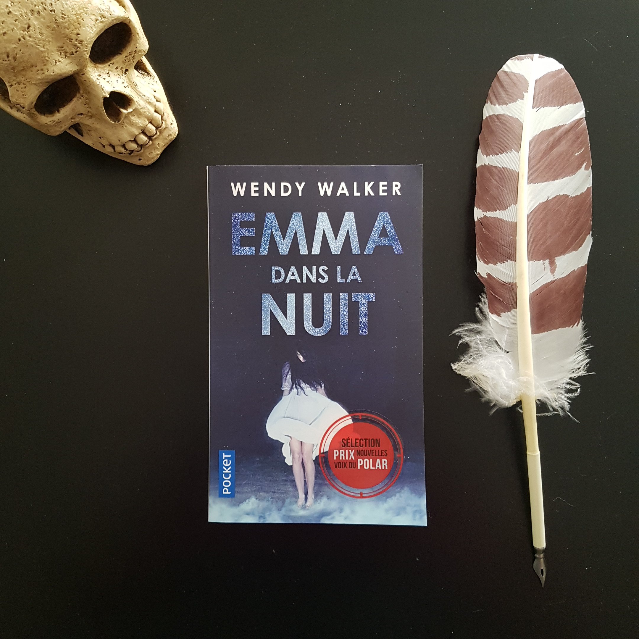 Emma dans la nuit de Wendy Walker