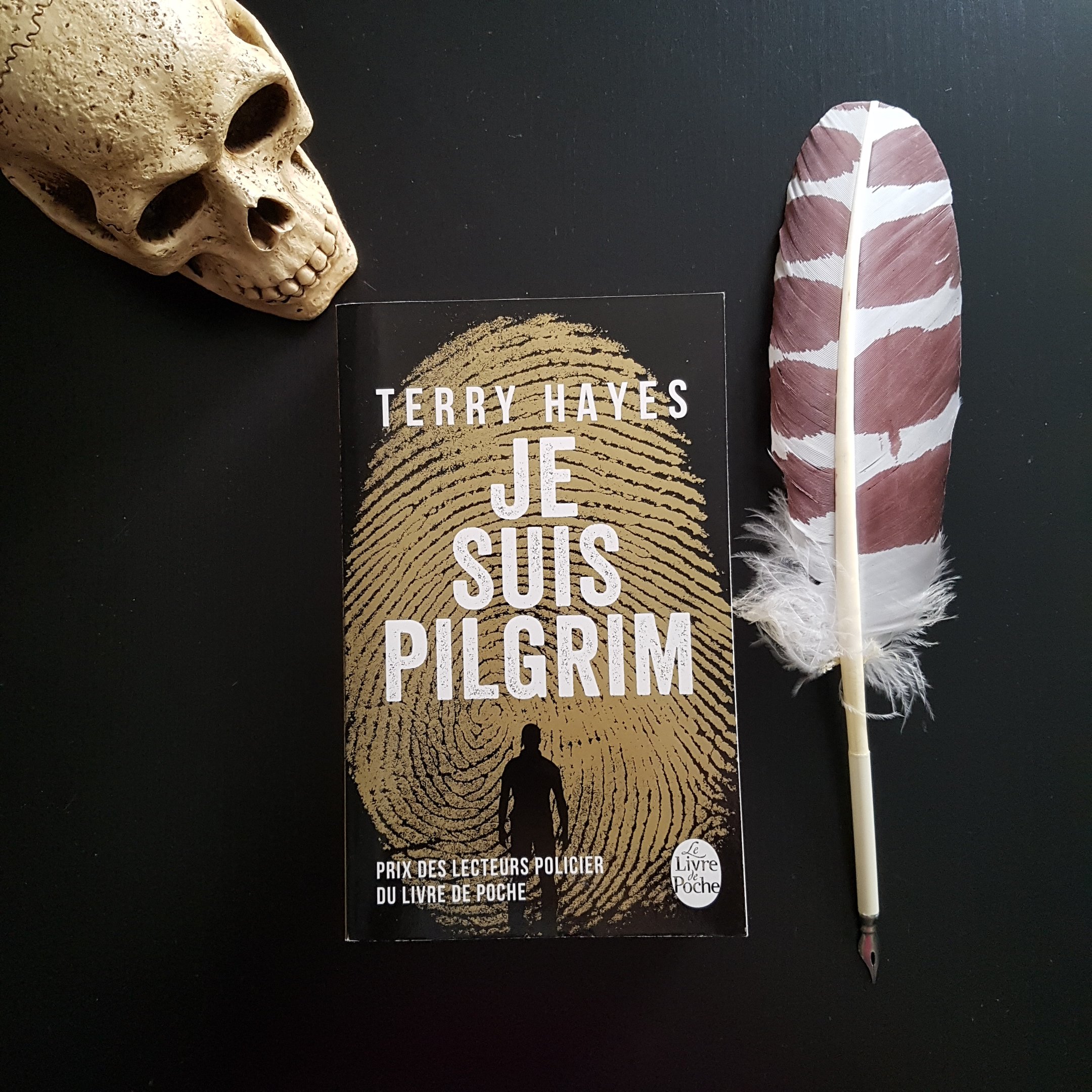 Je suis Pilgrim de Terry Hayes