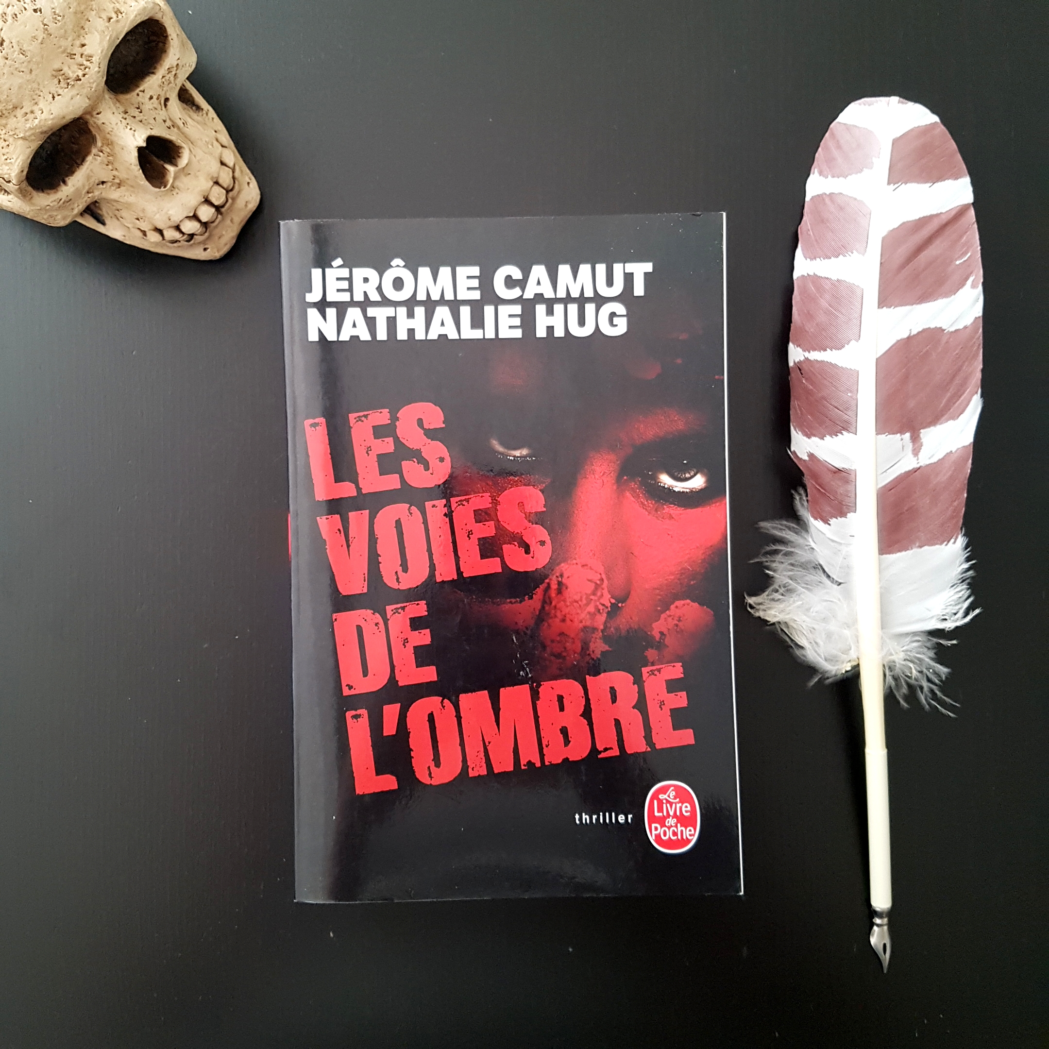 Les voies de l’ombres (saga en quatre tomes) de Jérôme Camut et Nathalie Hug