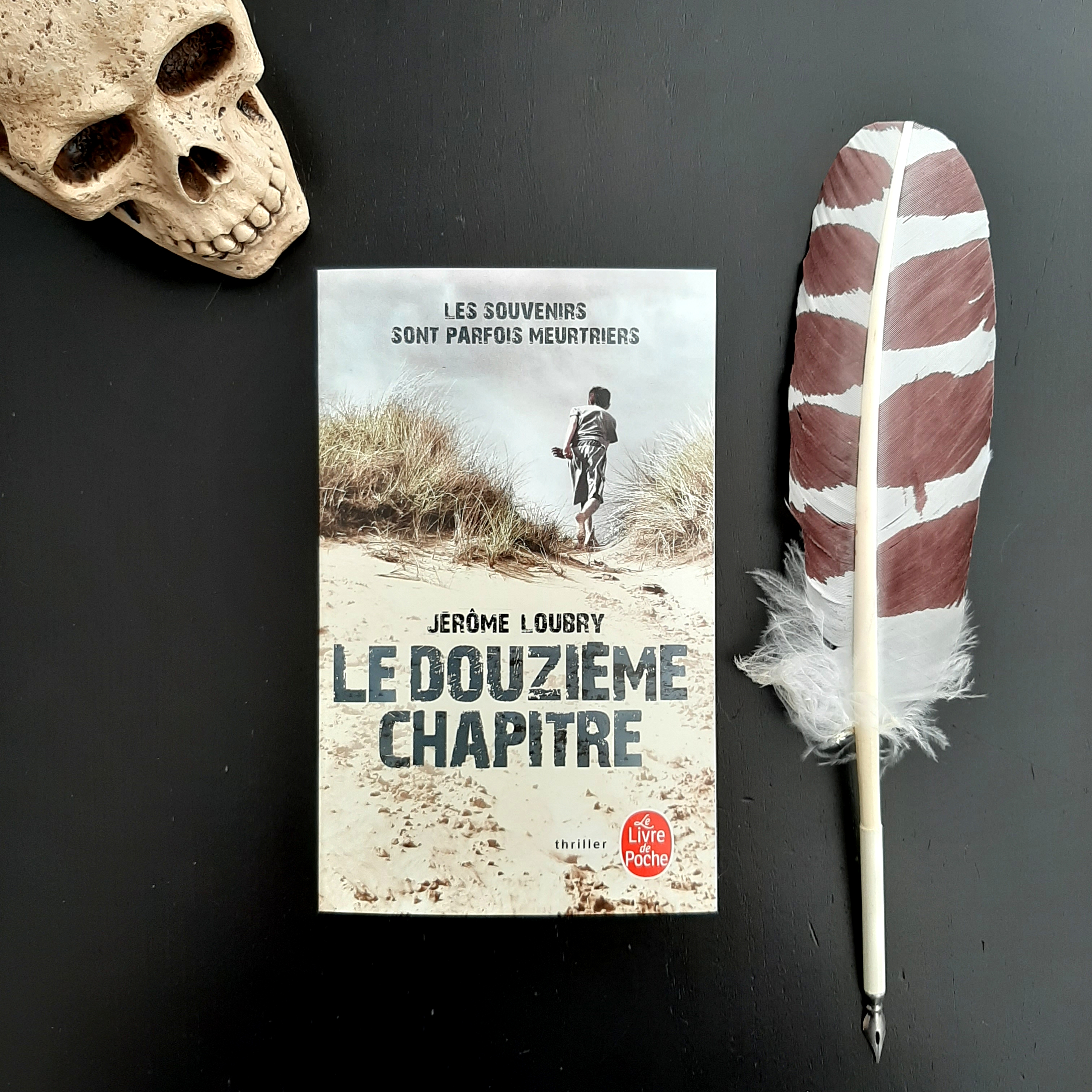 Le douzième chapitre de Jérôme Loubry