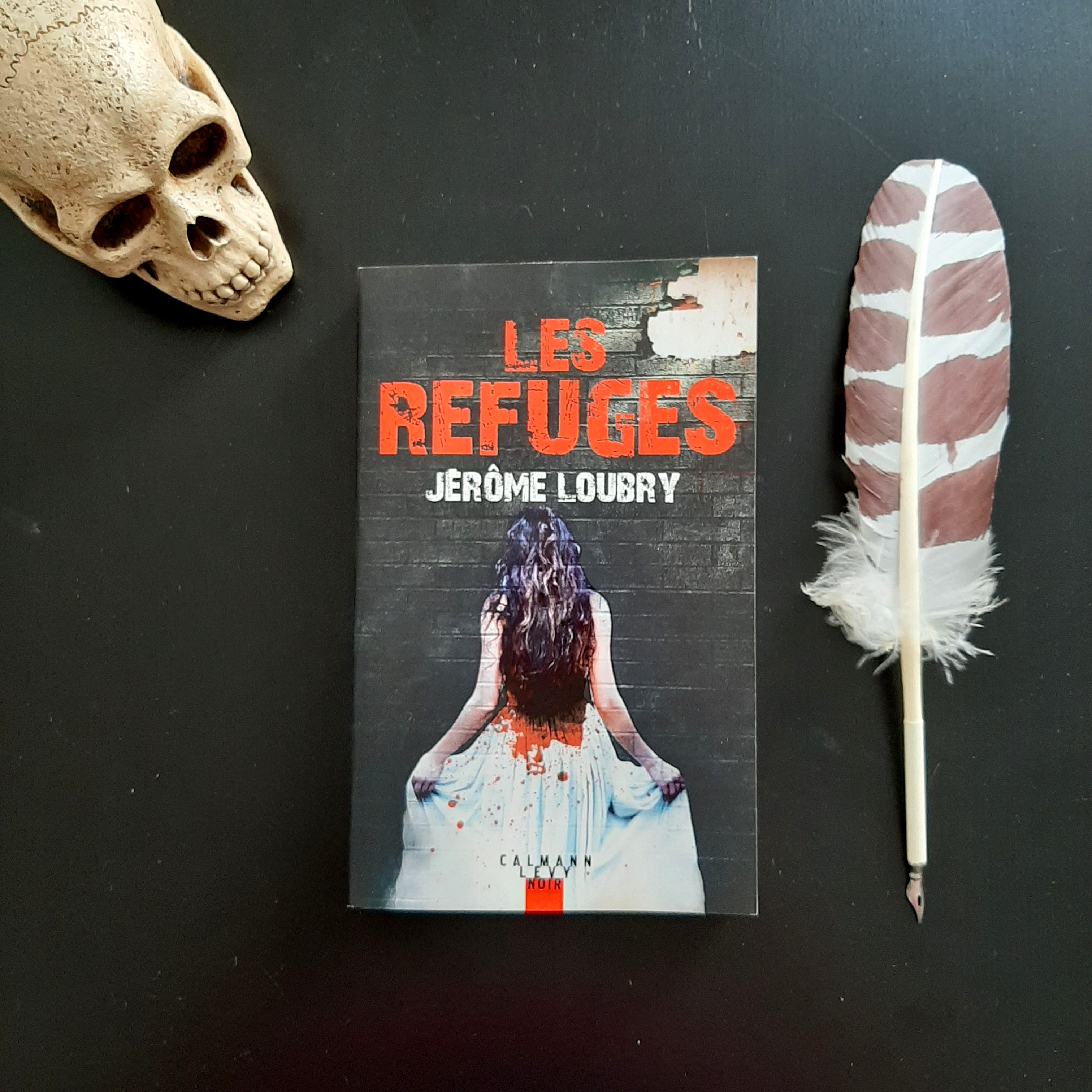 Les refuges de Jérôme Loubry