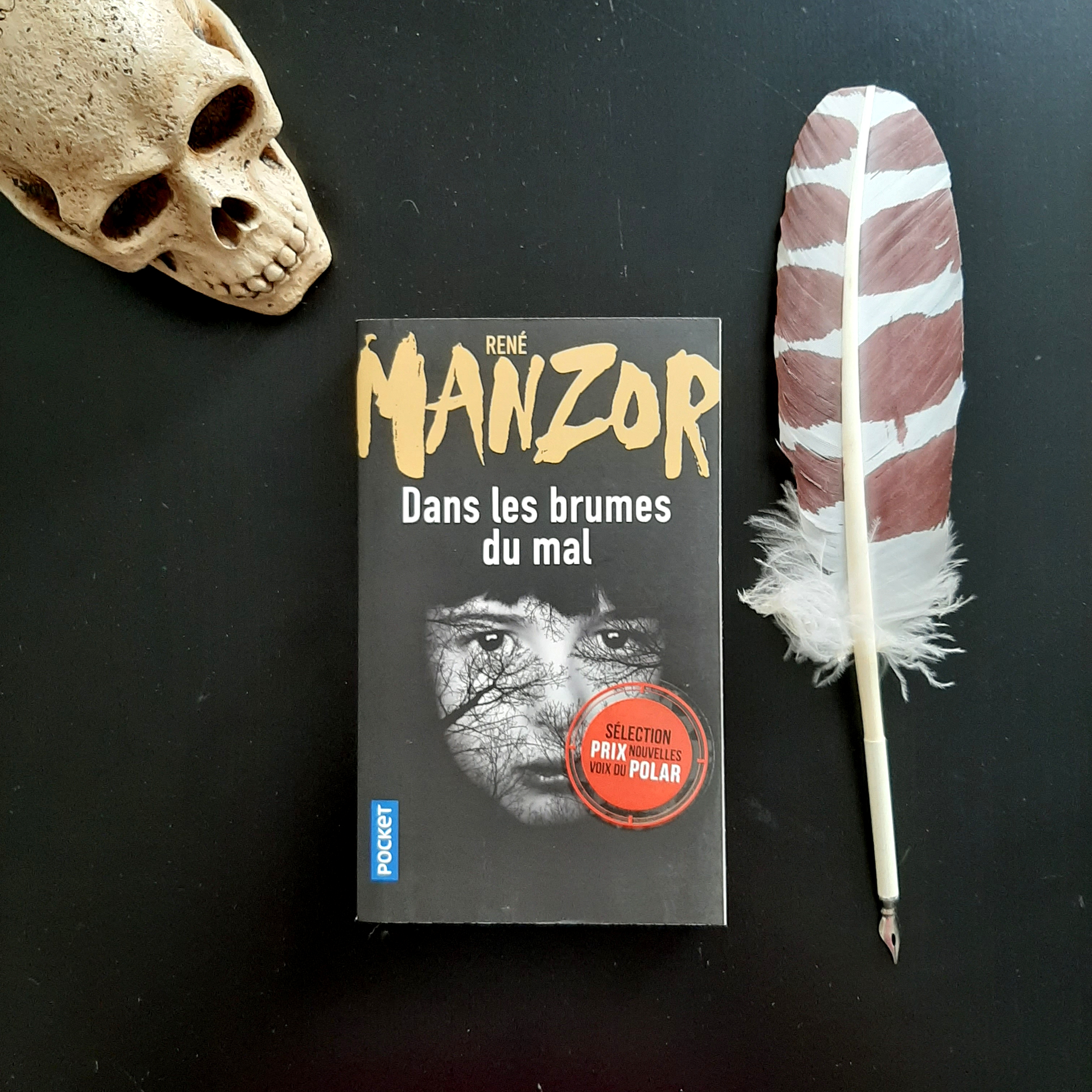 Dans les brumes du mal René Manzor