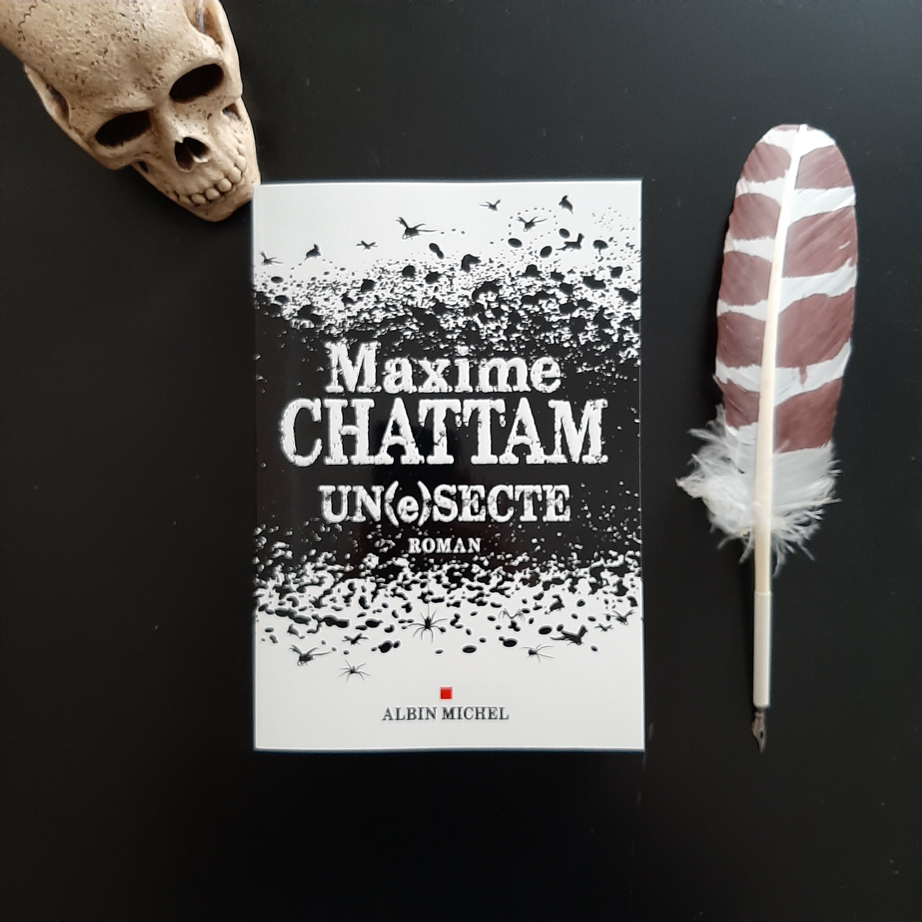 UN(e)SECTE de Maxime Chattam