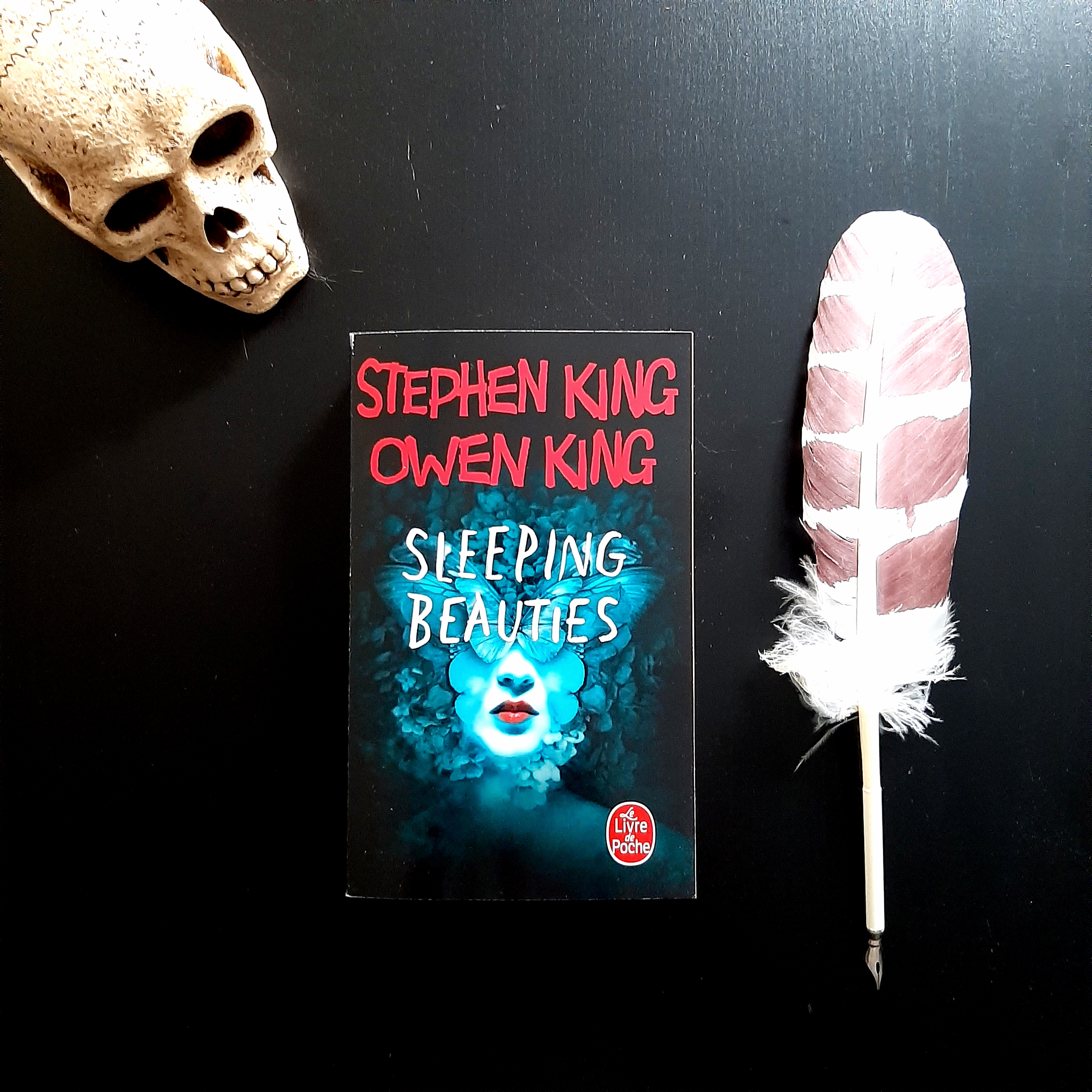 Sleeping beauties de Stephen King et Owen King
