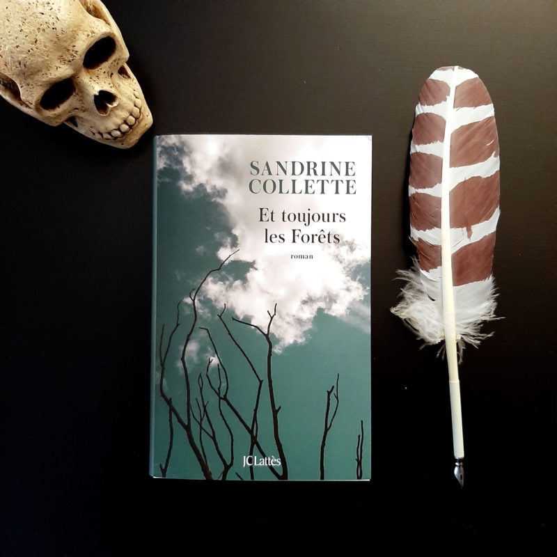 Et toujours les Forêts de Sandrine Collette