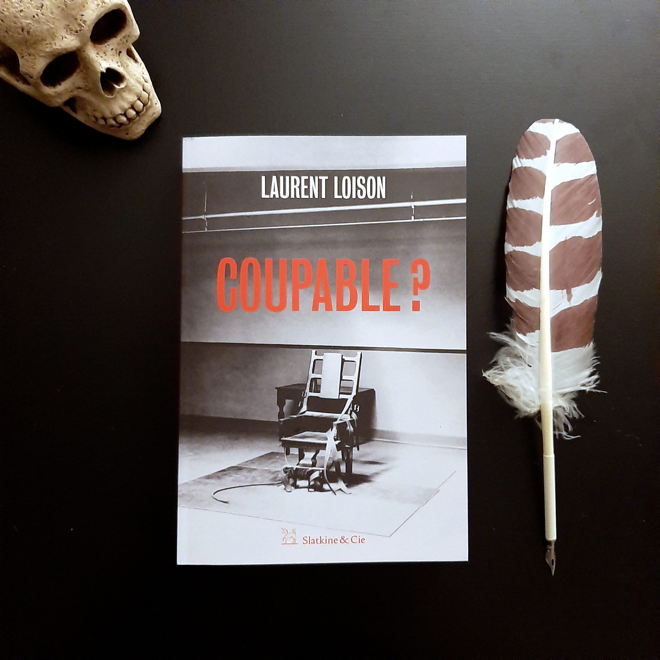 Coupable ? de Laurent Loison