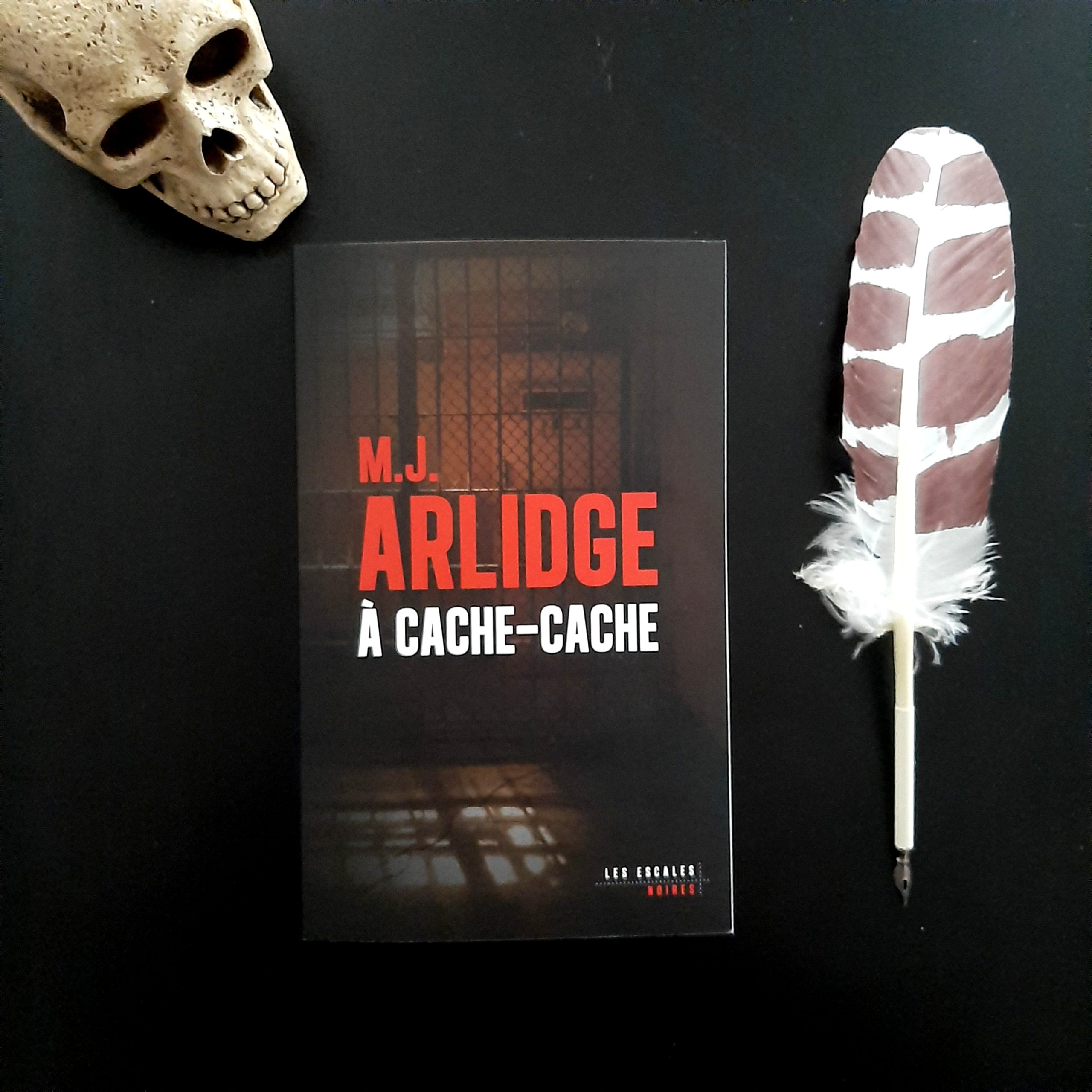 À cache-cache de M. J. Arlidge