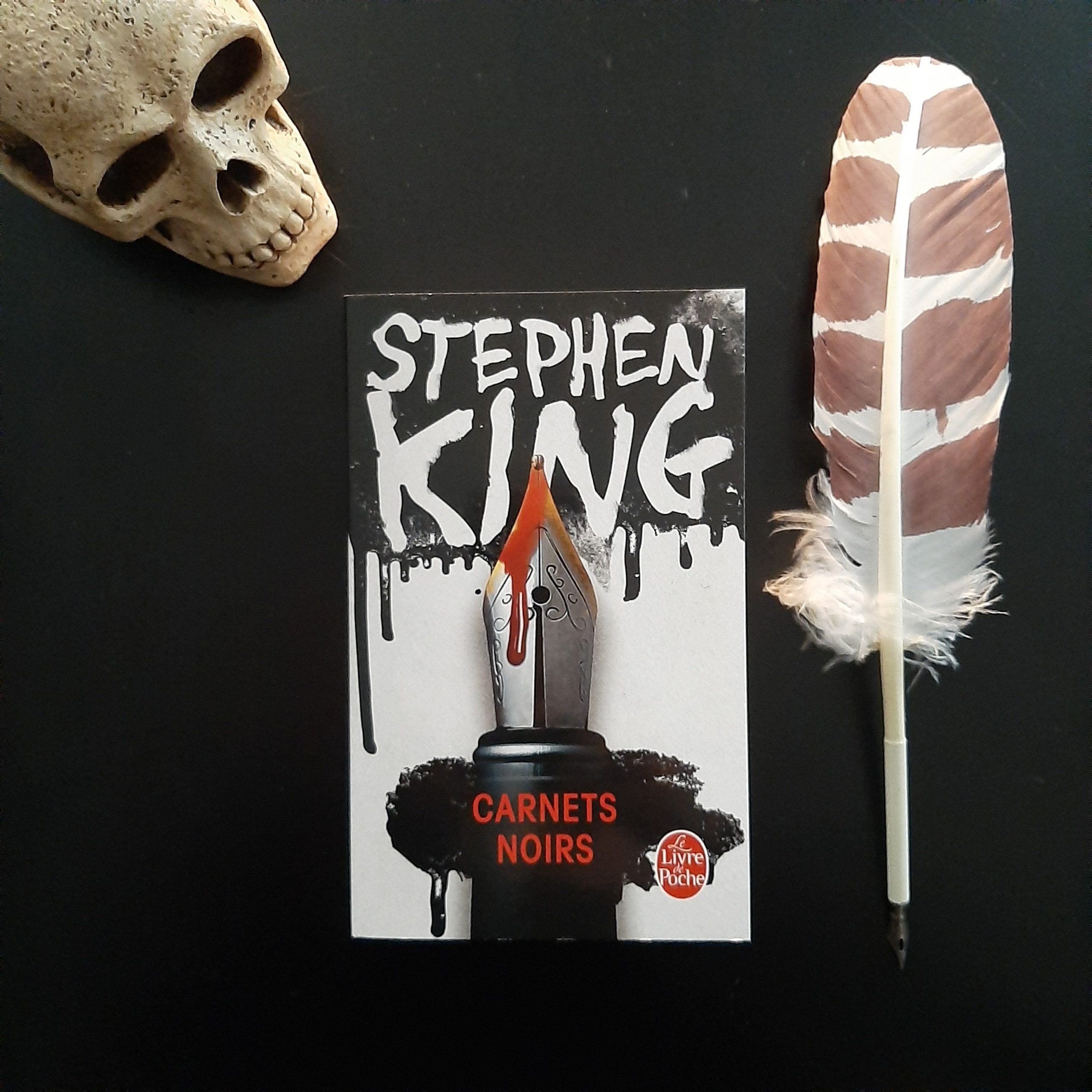 Carnet noirs de Stephen King
