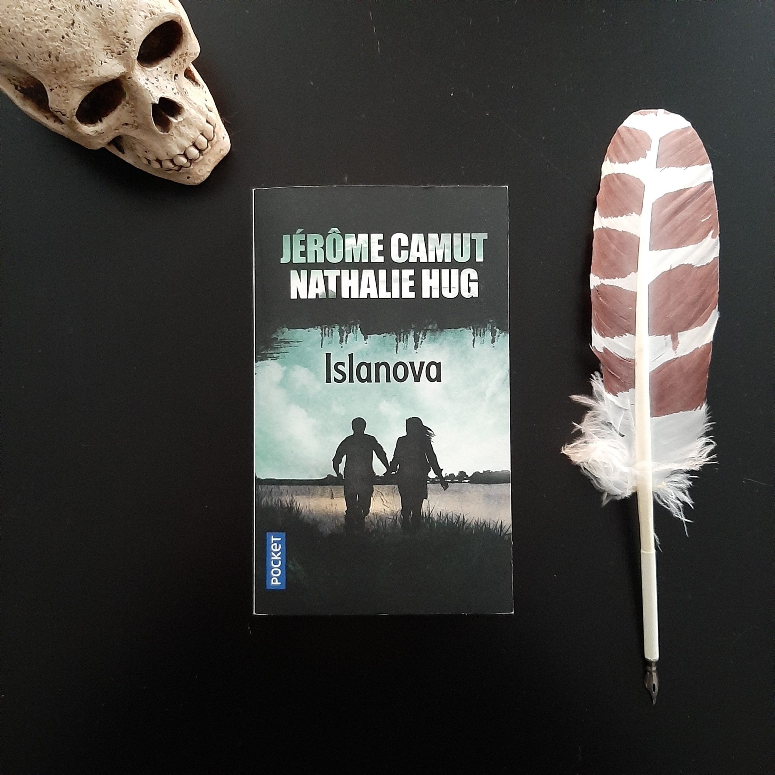 Islanova de Jérôme Camut et Nathalie Hug