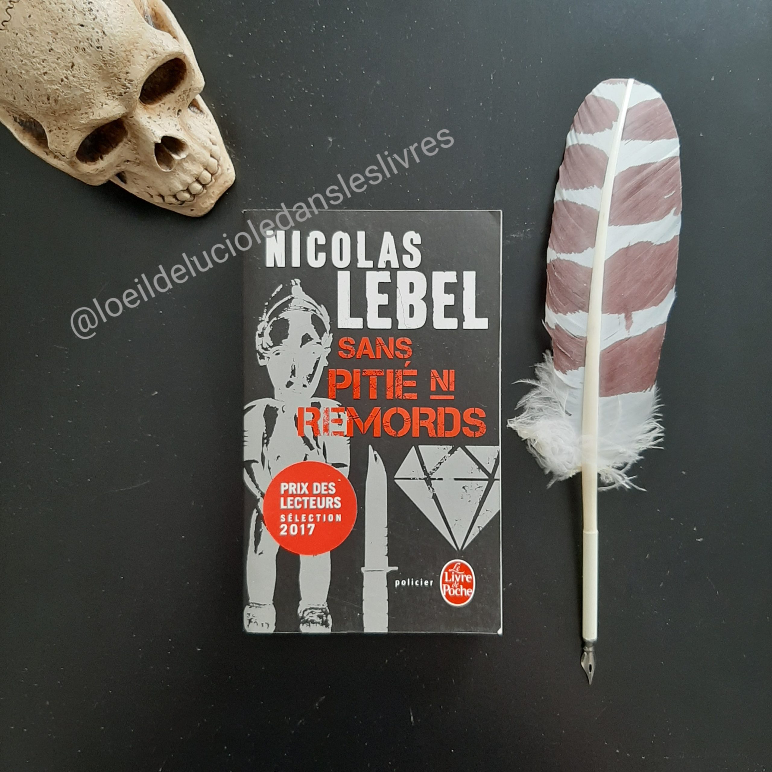 Sans pitié ni remords de Nicolas Lebel