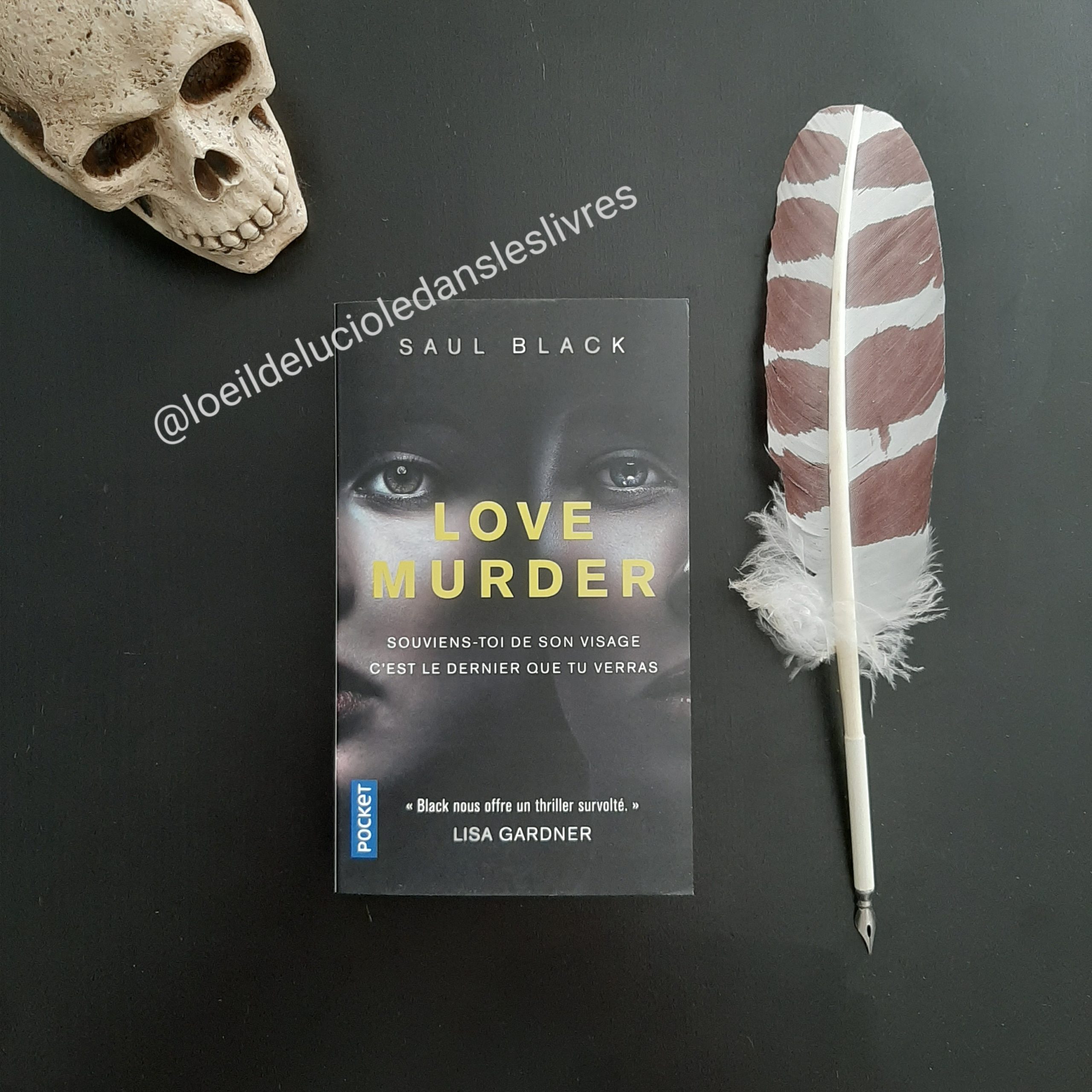 Love murder de Saul Black