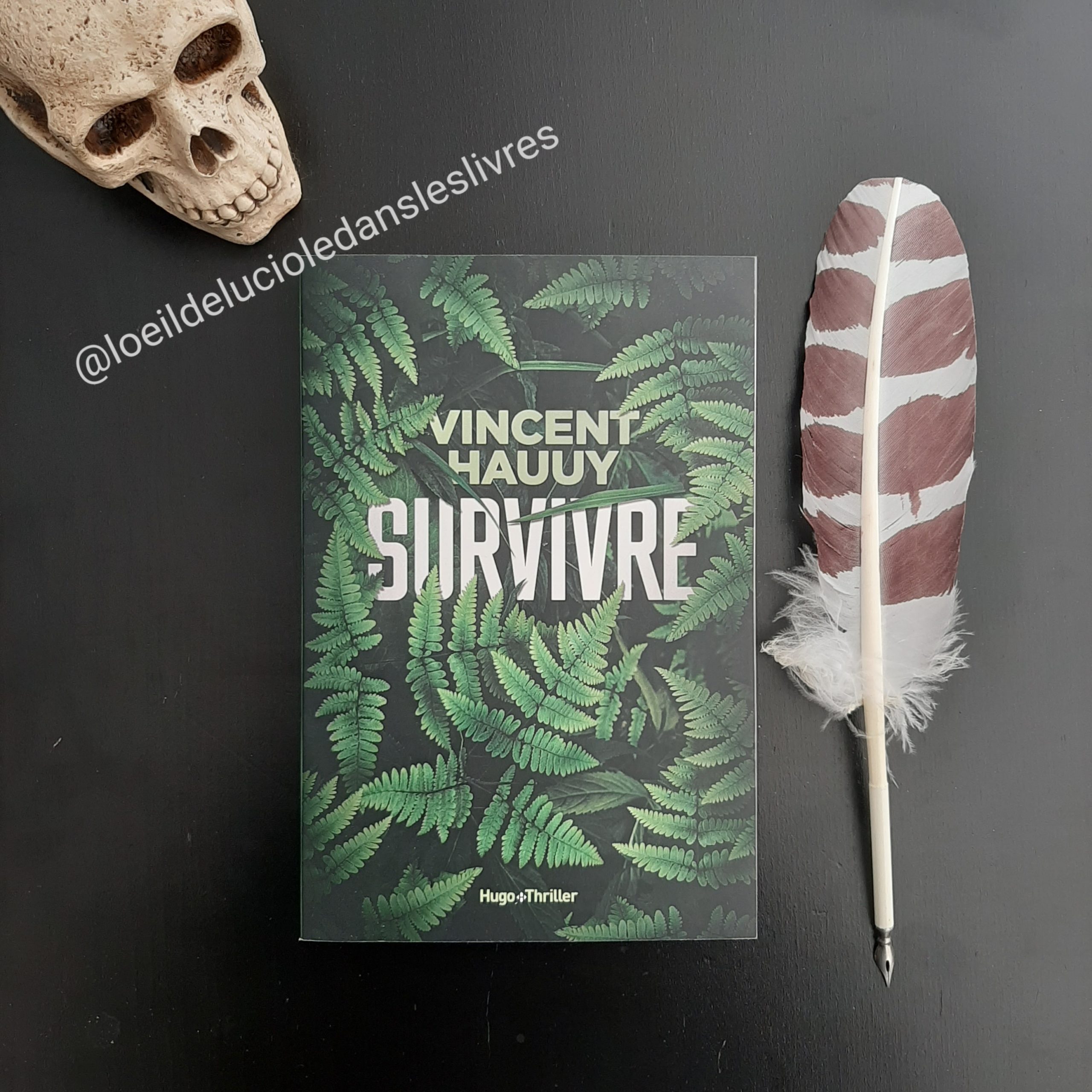 Survivre de Vincent Hauuy