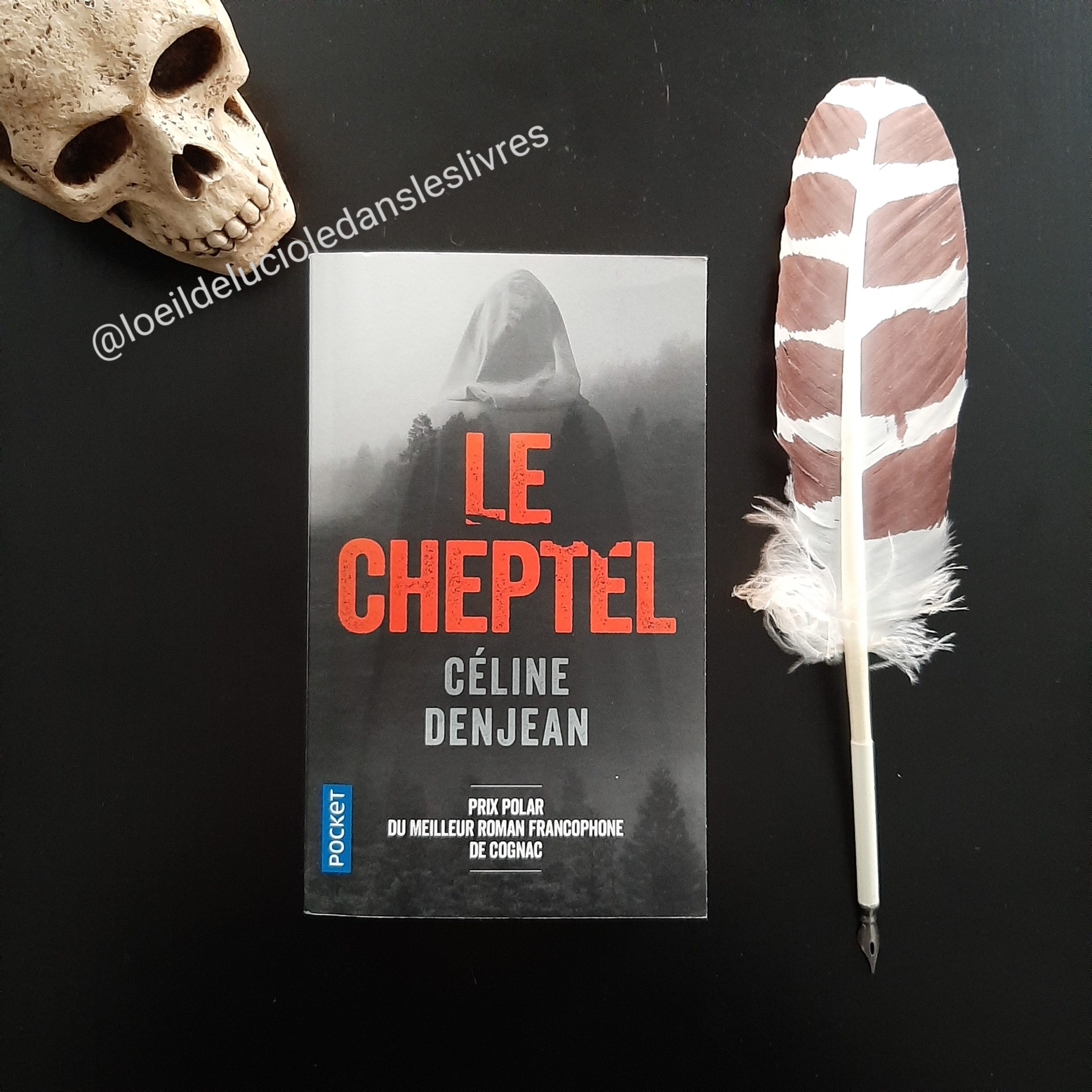 Le Cheptel de Céline Denjean