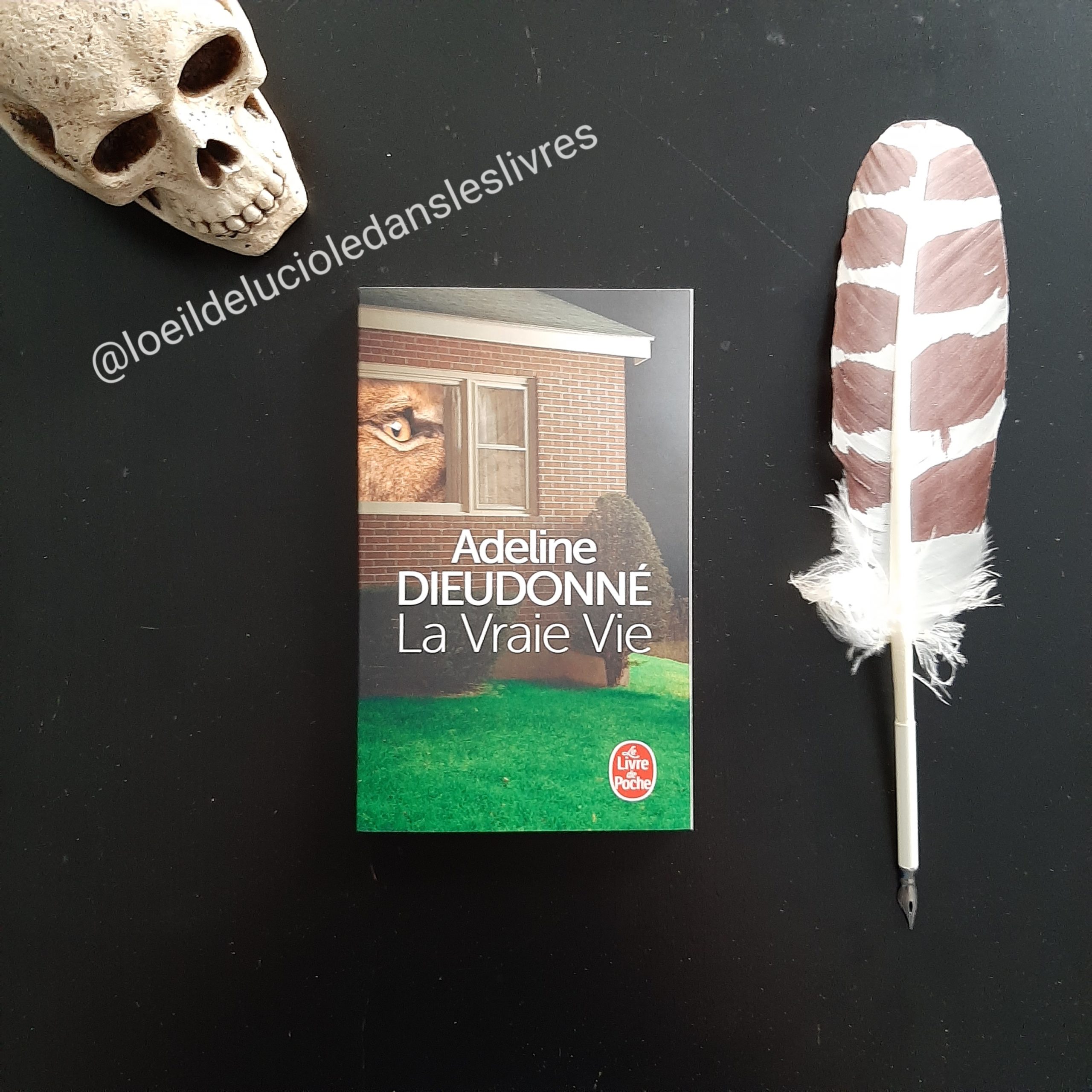 La vraie vie d’Adeline Dieudonné