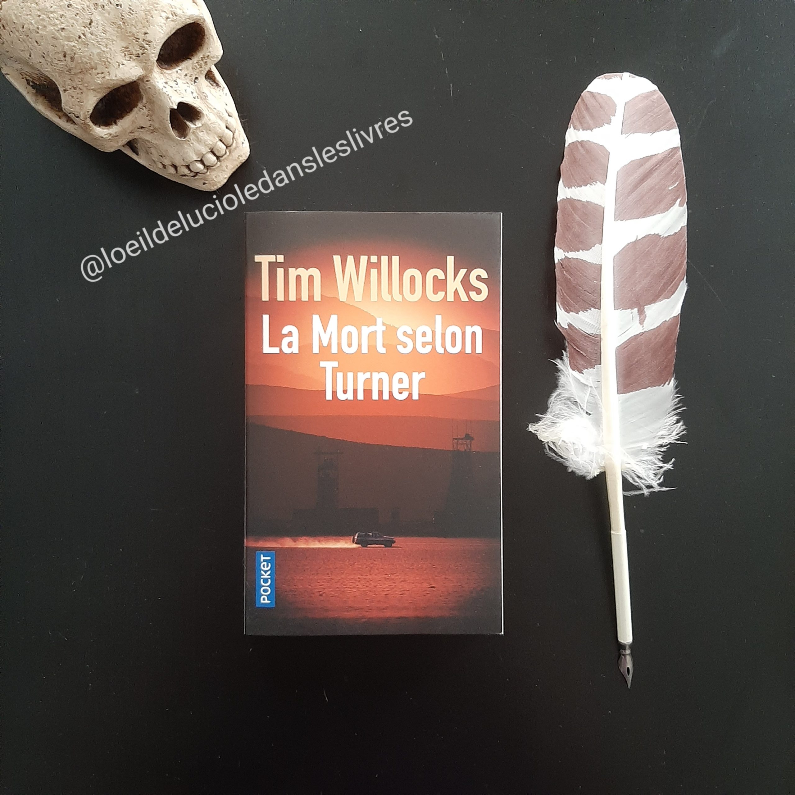 La mort selon Turner de Tim Willocks