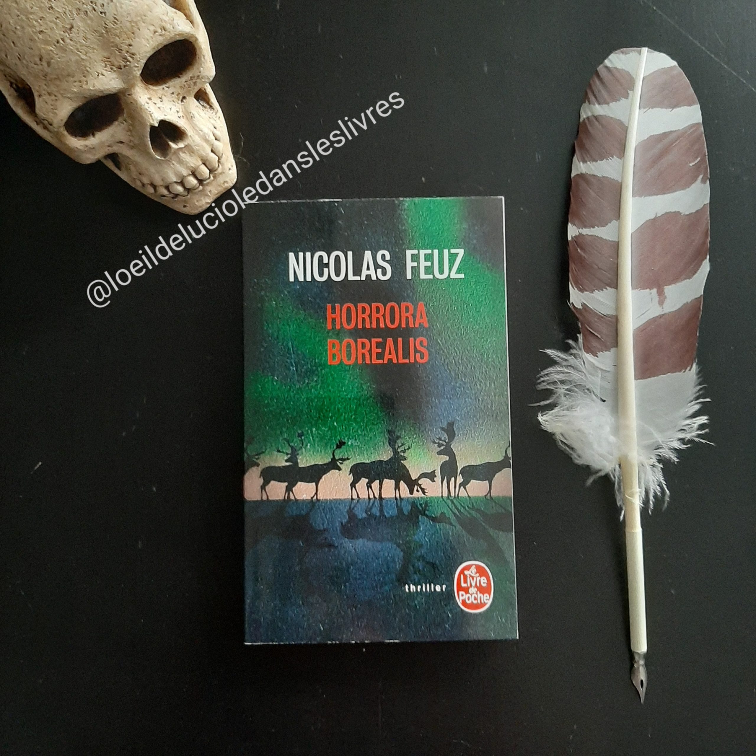 Horrora Borealis de Nicolas Feuz