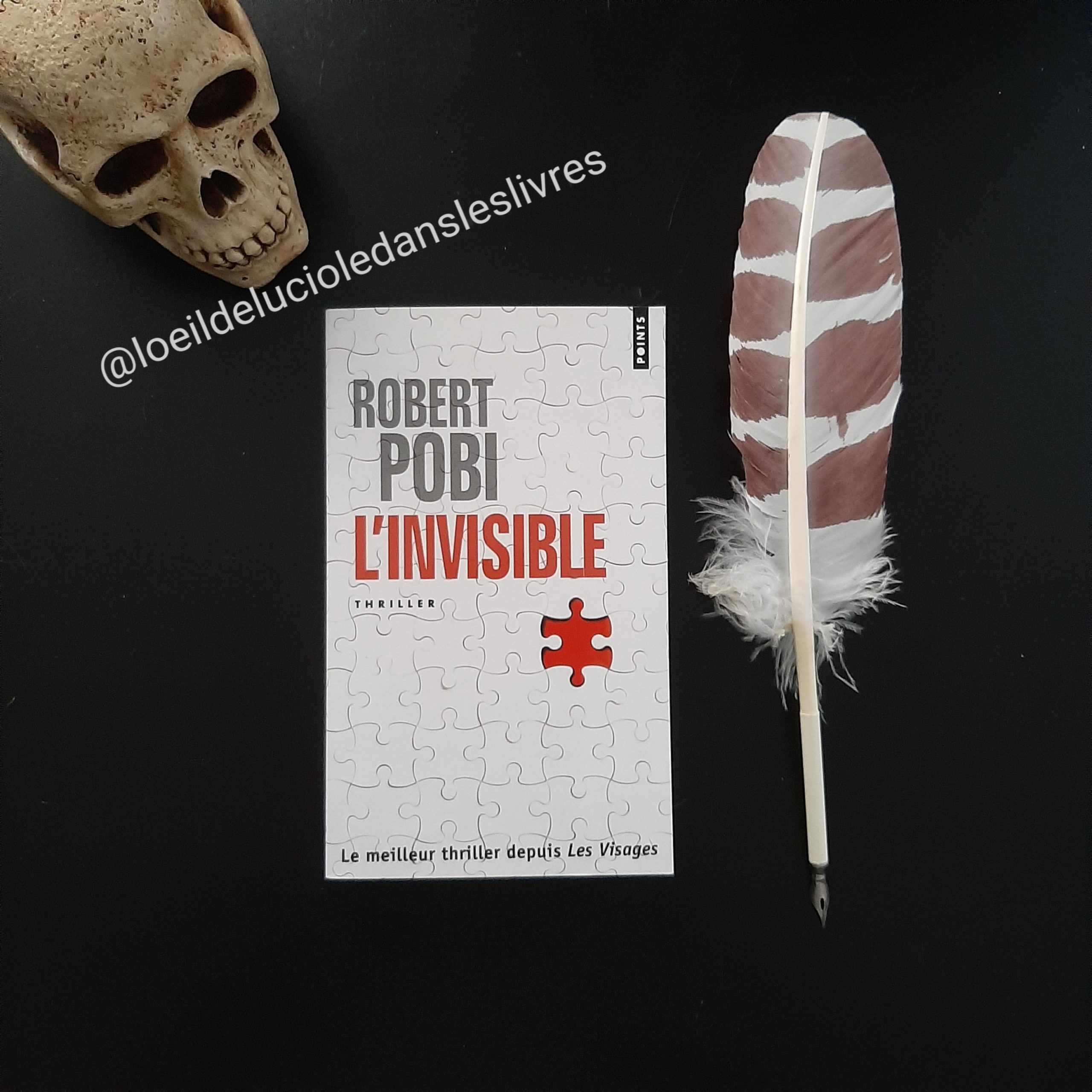 L’invisible de Robert Pobi