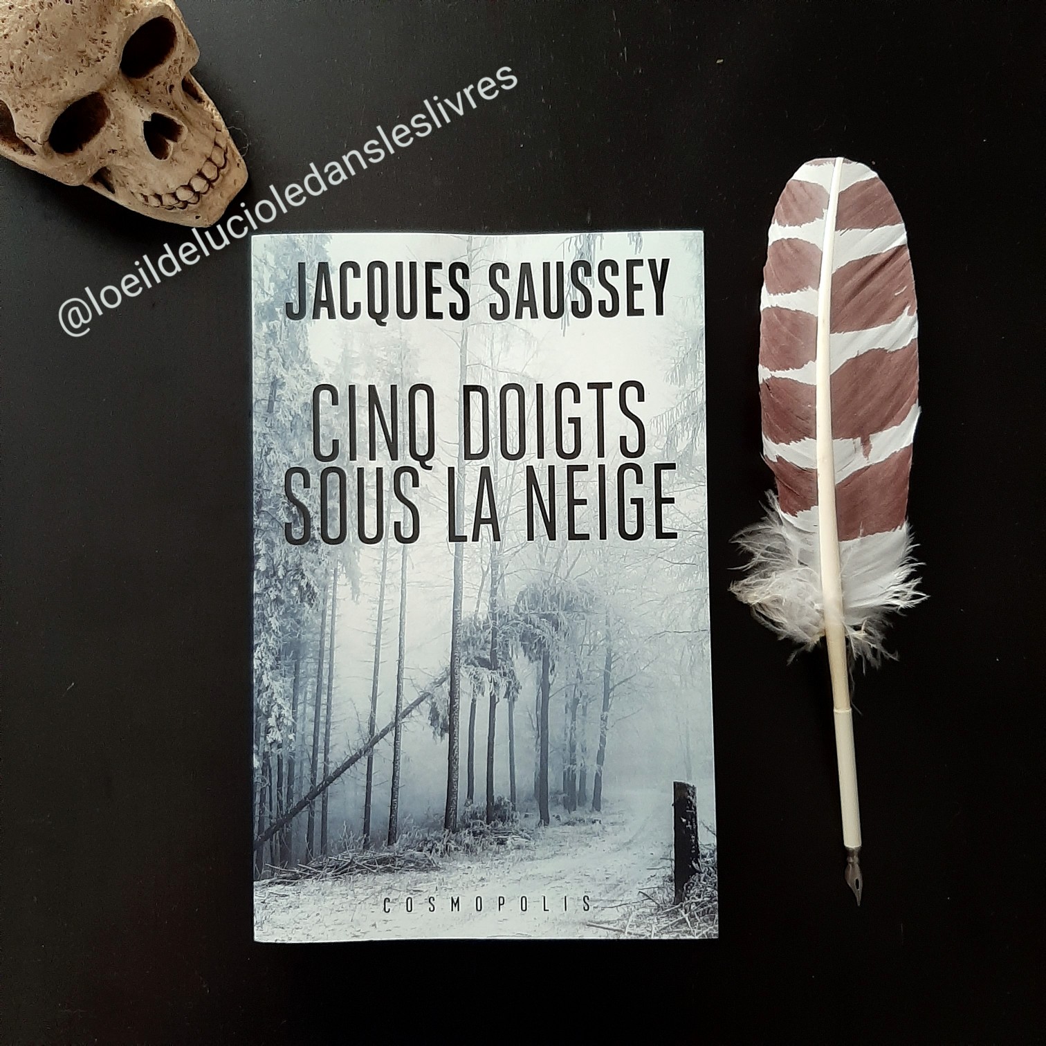 Cinq doigts sous la neige de Jacques Saussey