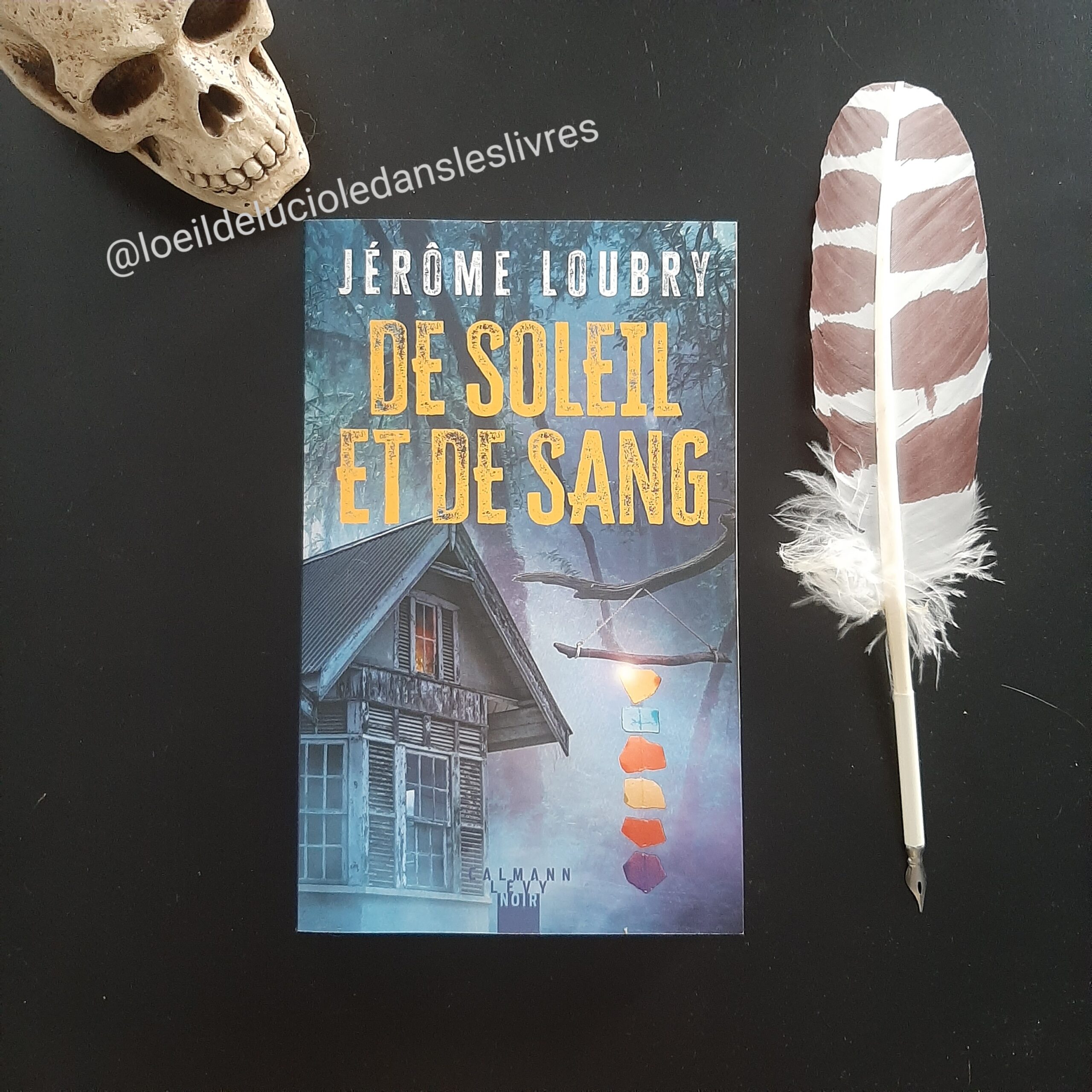 De soleil et de sang de Jérôme Loubry