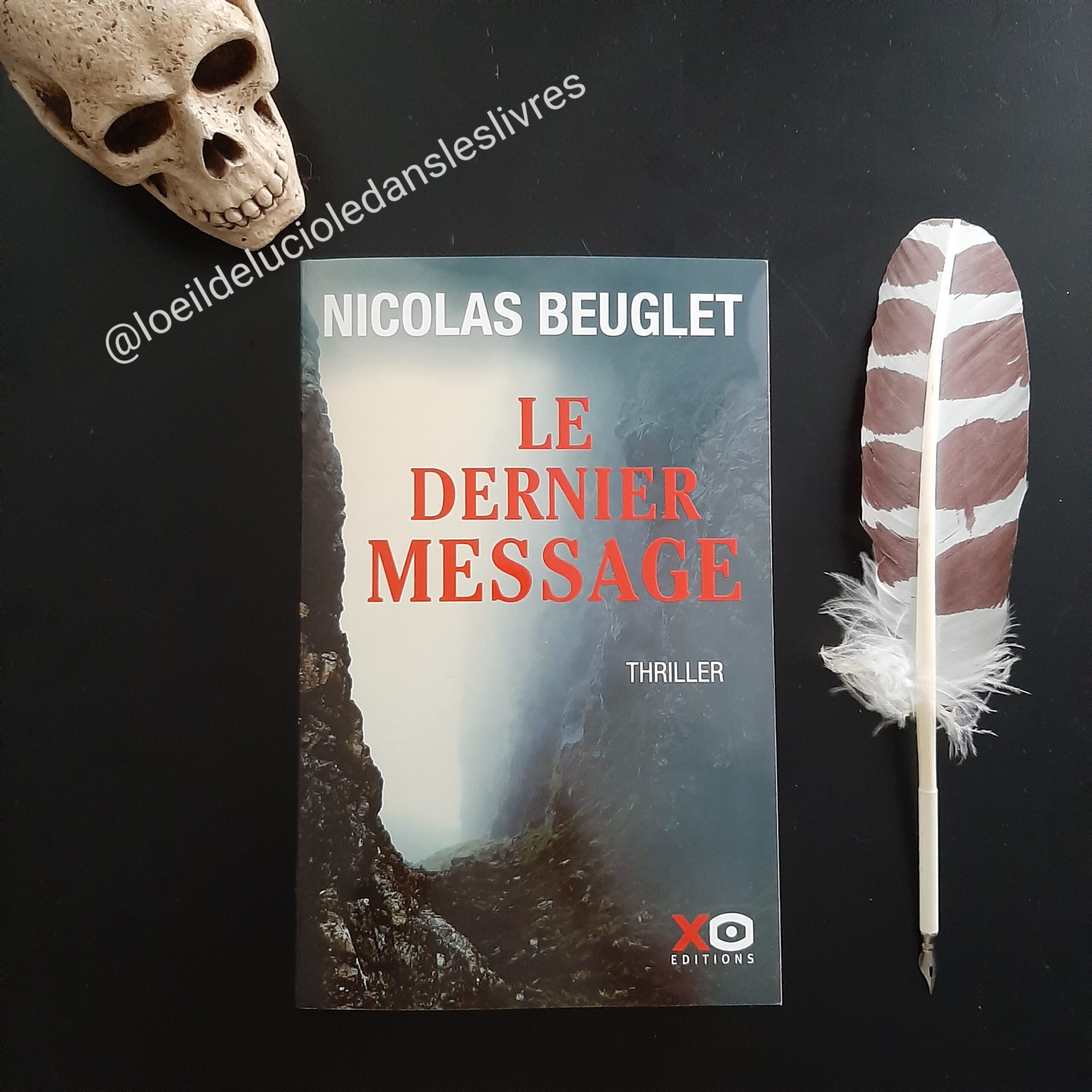 Le dernier message de Nicolas Beuglet