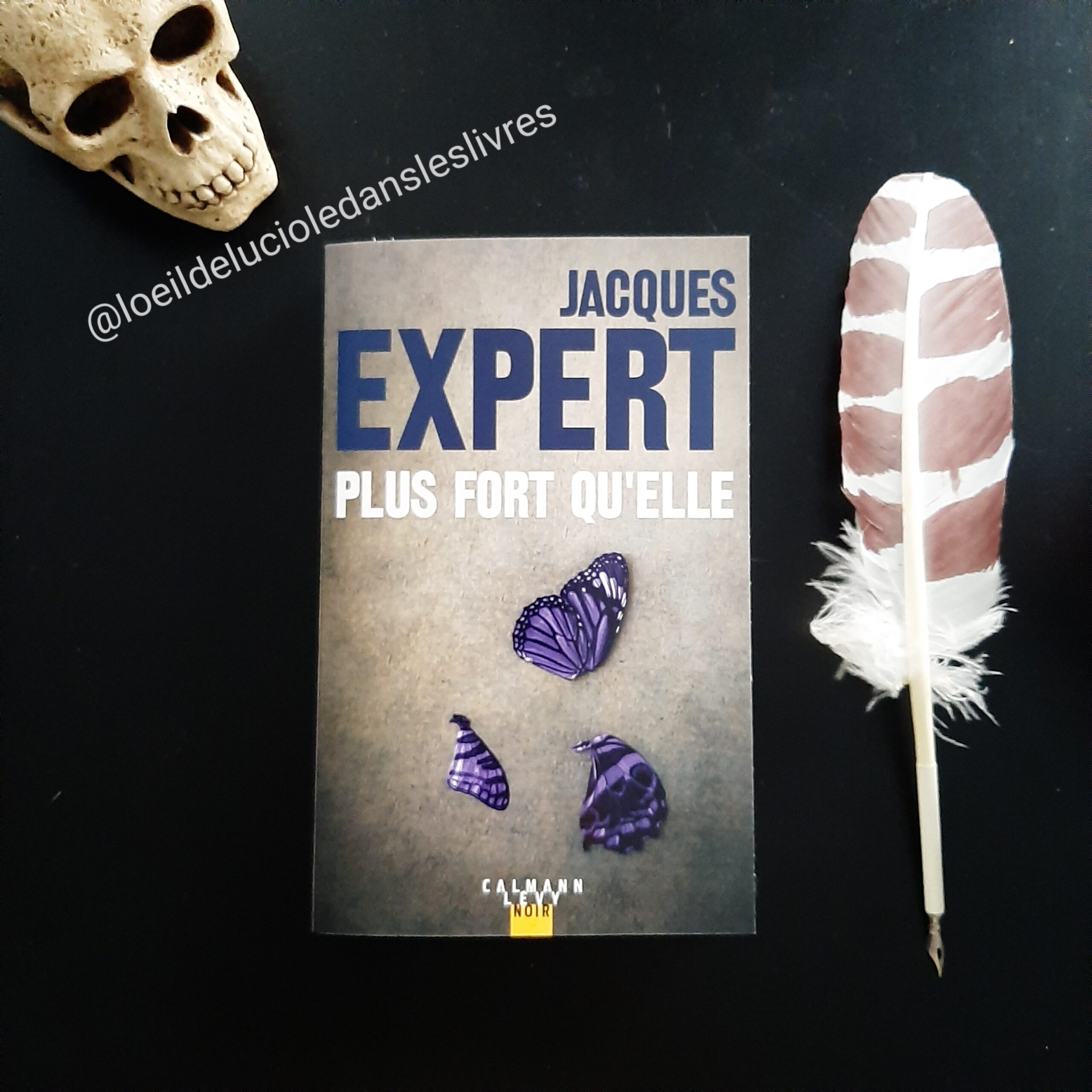 Plus fort qu’elle de Jacques Expert