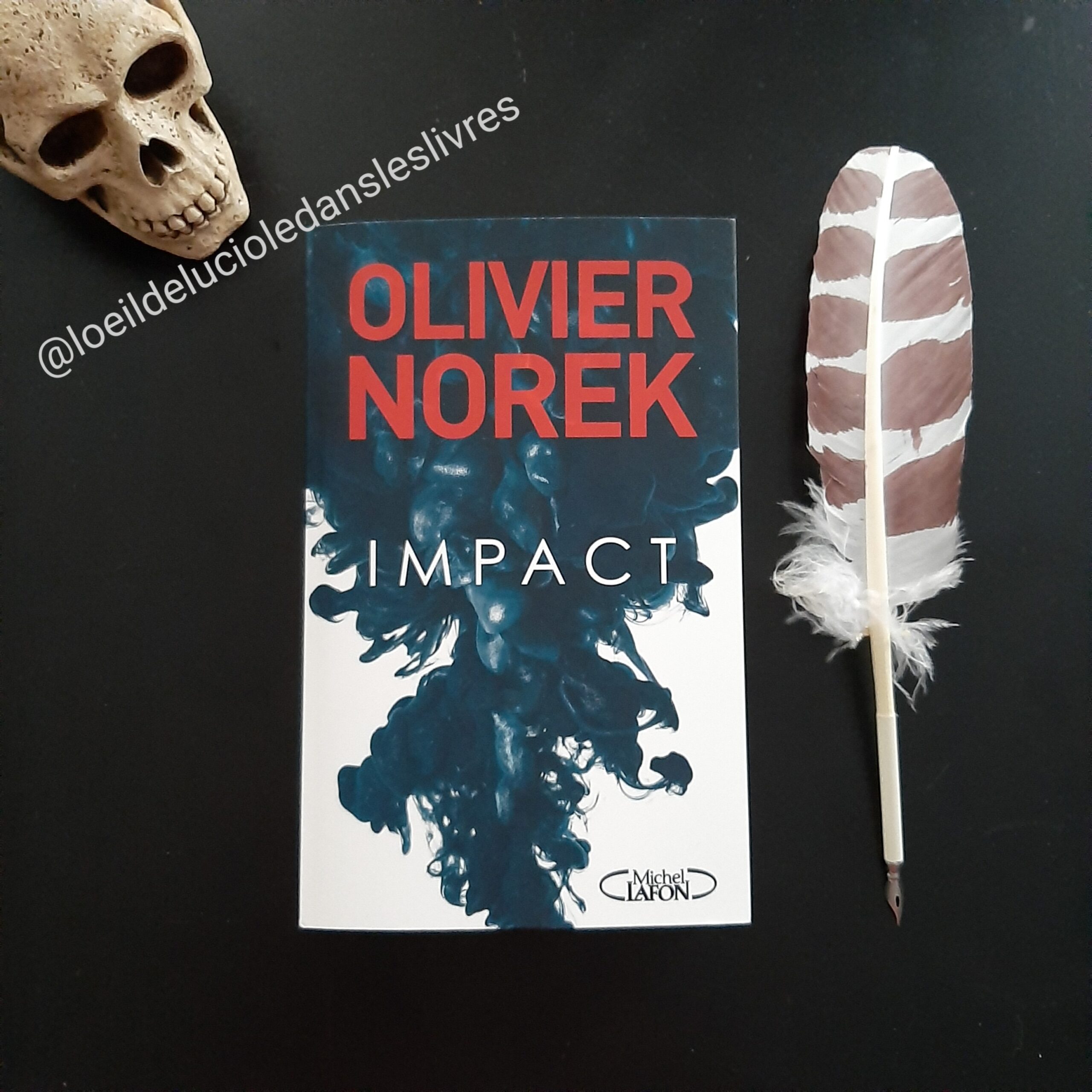 Impact d’Olivier Norek