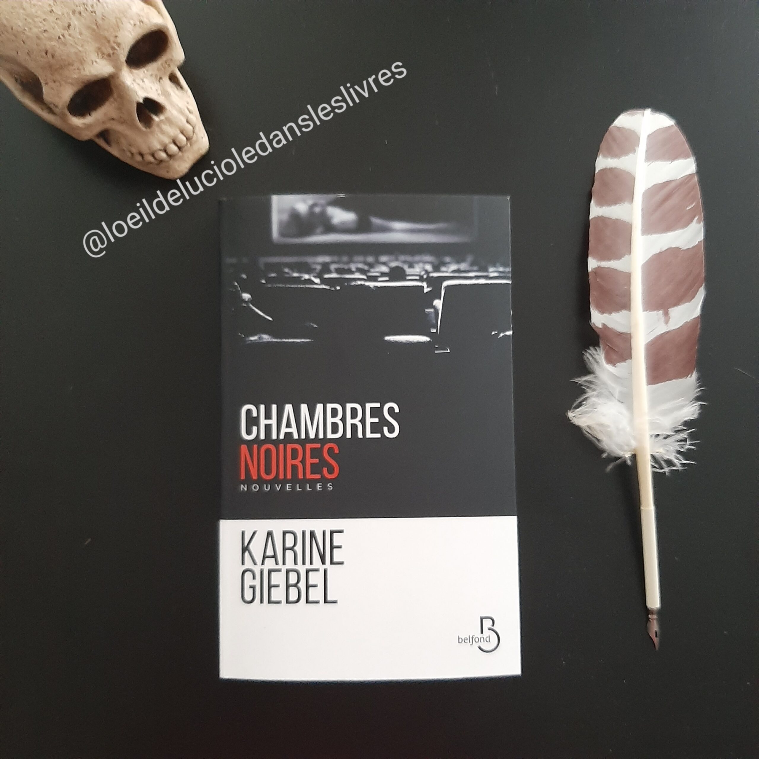 Chambres noires de Karine Giebel