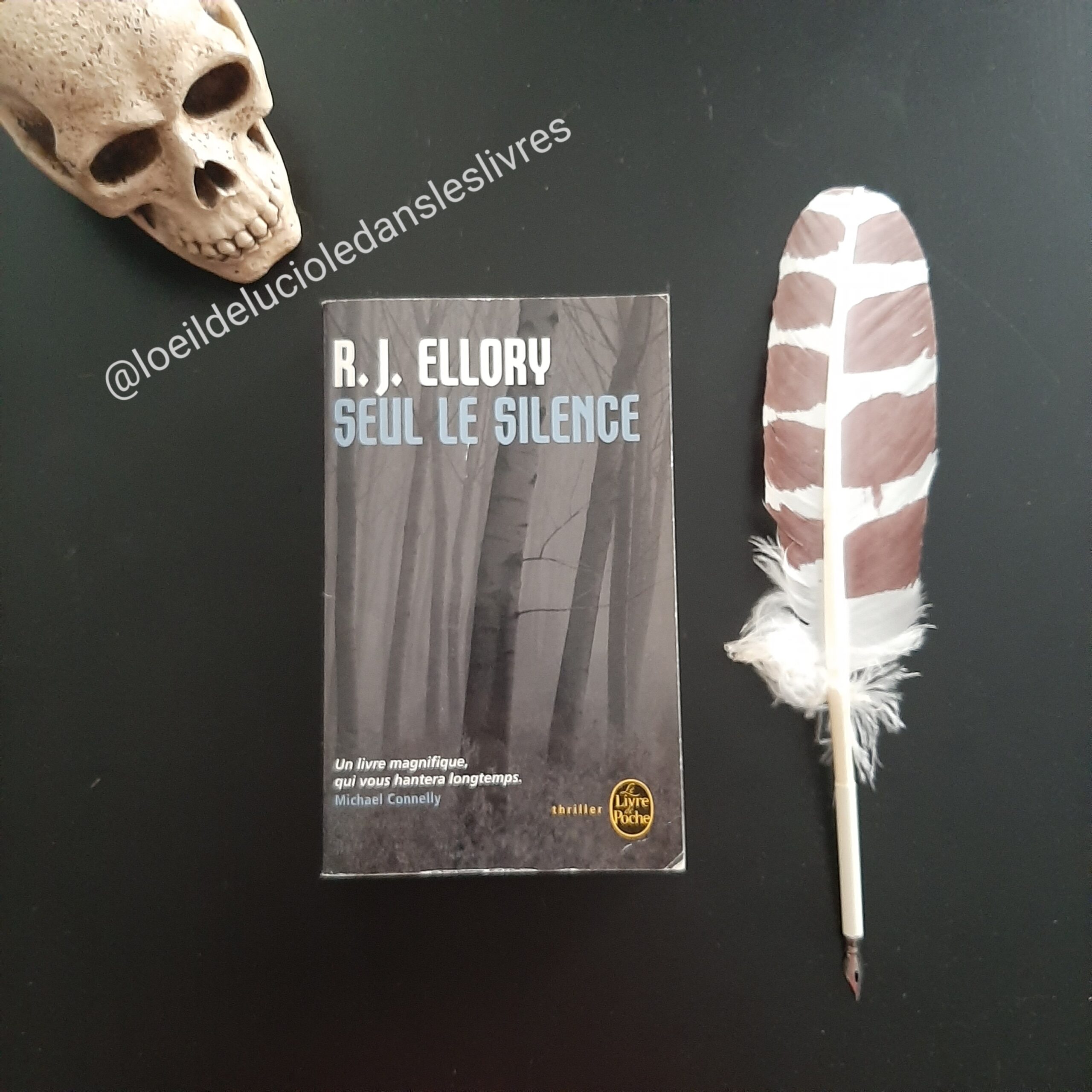 Seul le silence de RJ Ellory