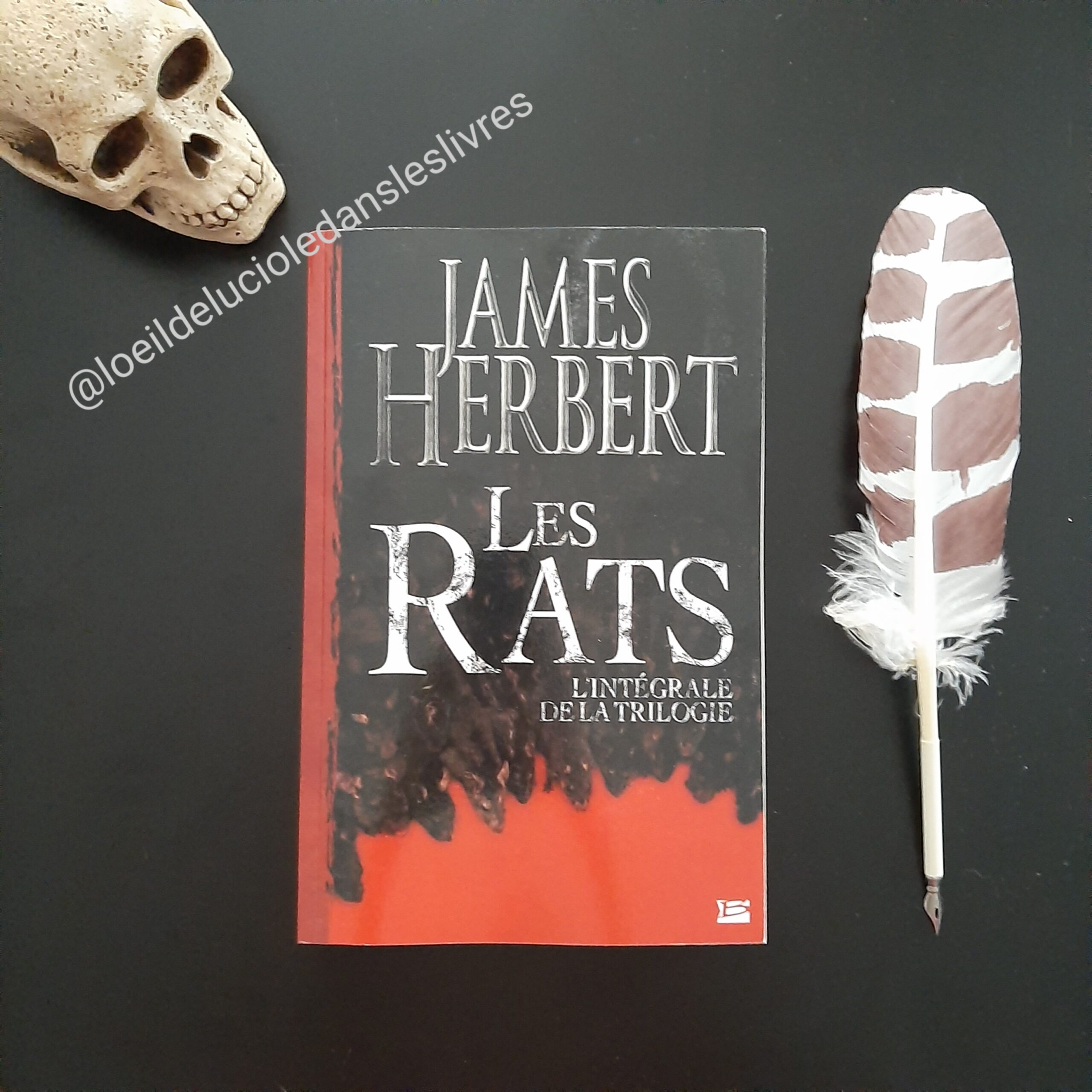 Les Rats, la trilogie de James Herbert